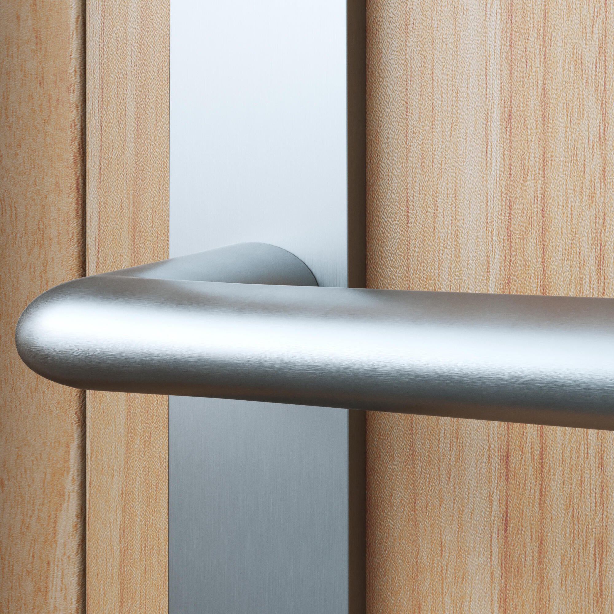 2 poignées porte entrée sur plaque cylindre Sophie zamak brillant, entraxe 195mm - 3