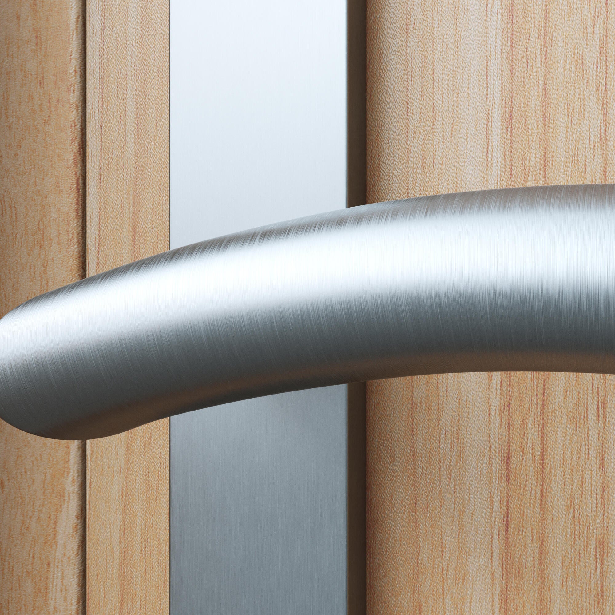 2 poignées porte entrée sur plaque cylindre Margaud inox brillant, entraxe 195mm - 3