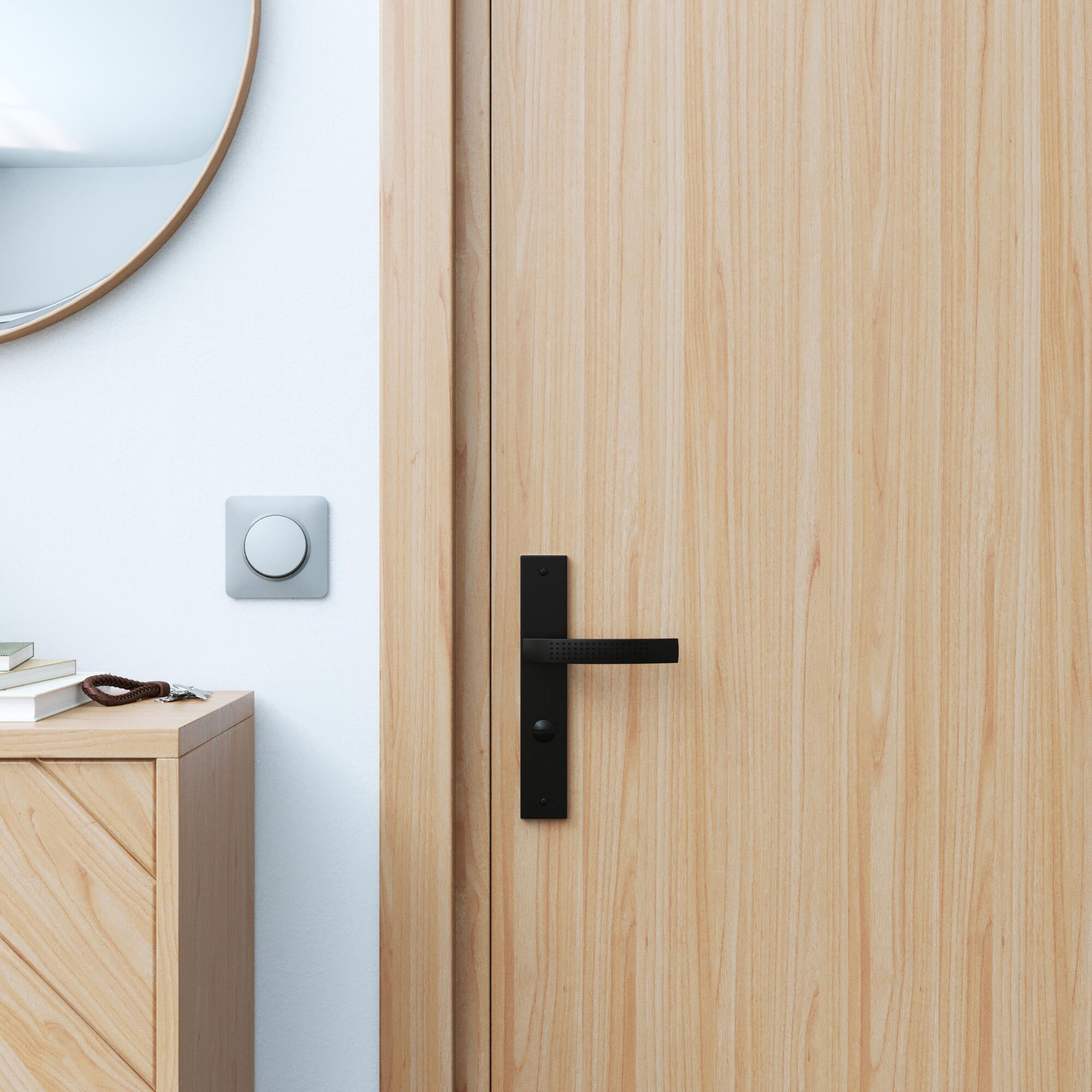 2 poignées sur plaque condamnation Louna aluminium noir mat, entraxe 195 mm - 3