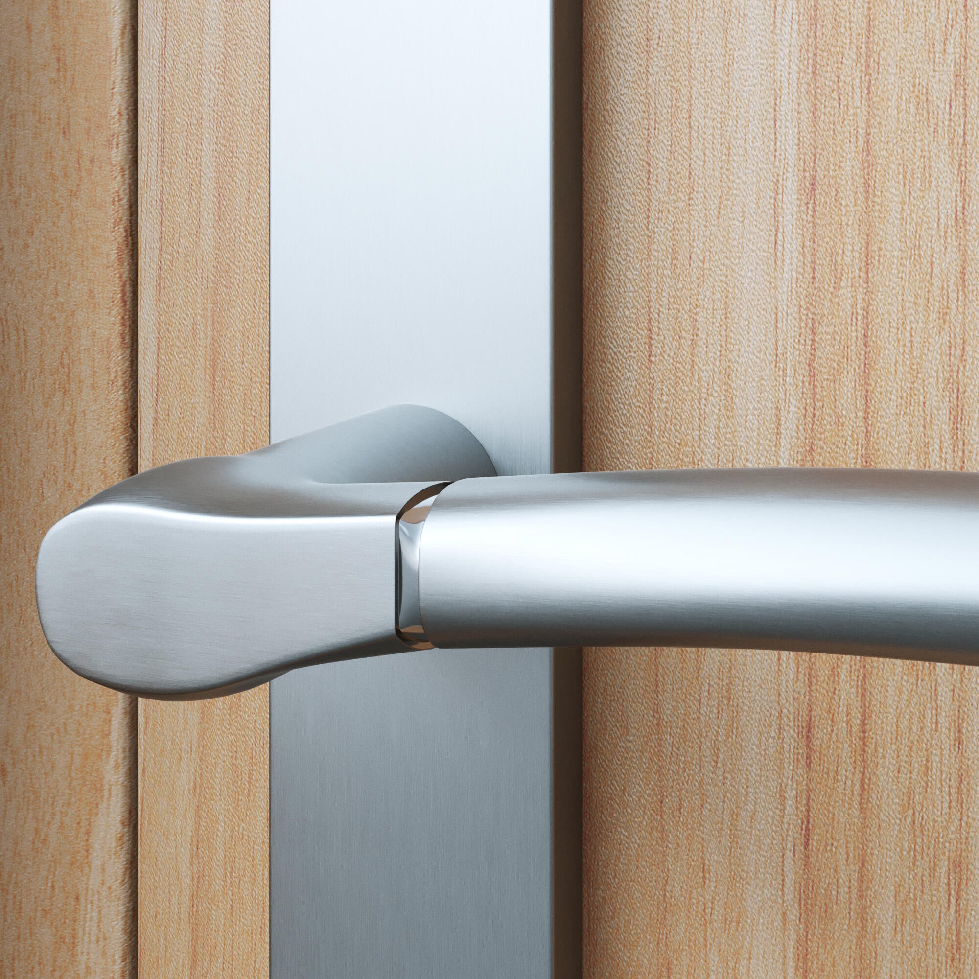 2 poignées porte entrée sur plaque cylindre Eina zamak brillant, entraxe 195 mm - 3