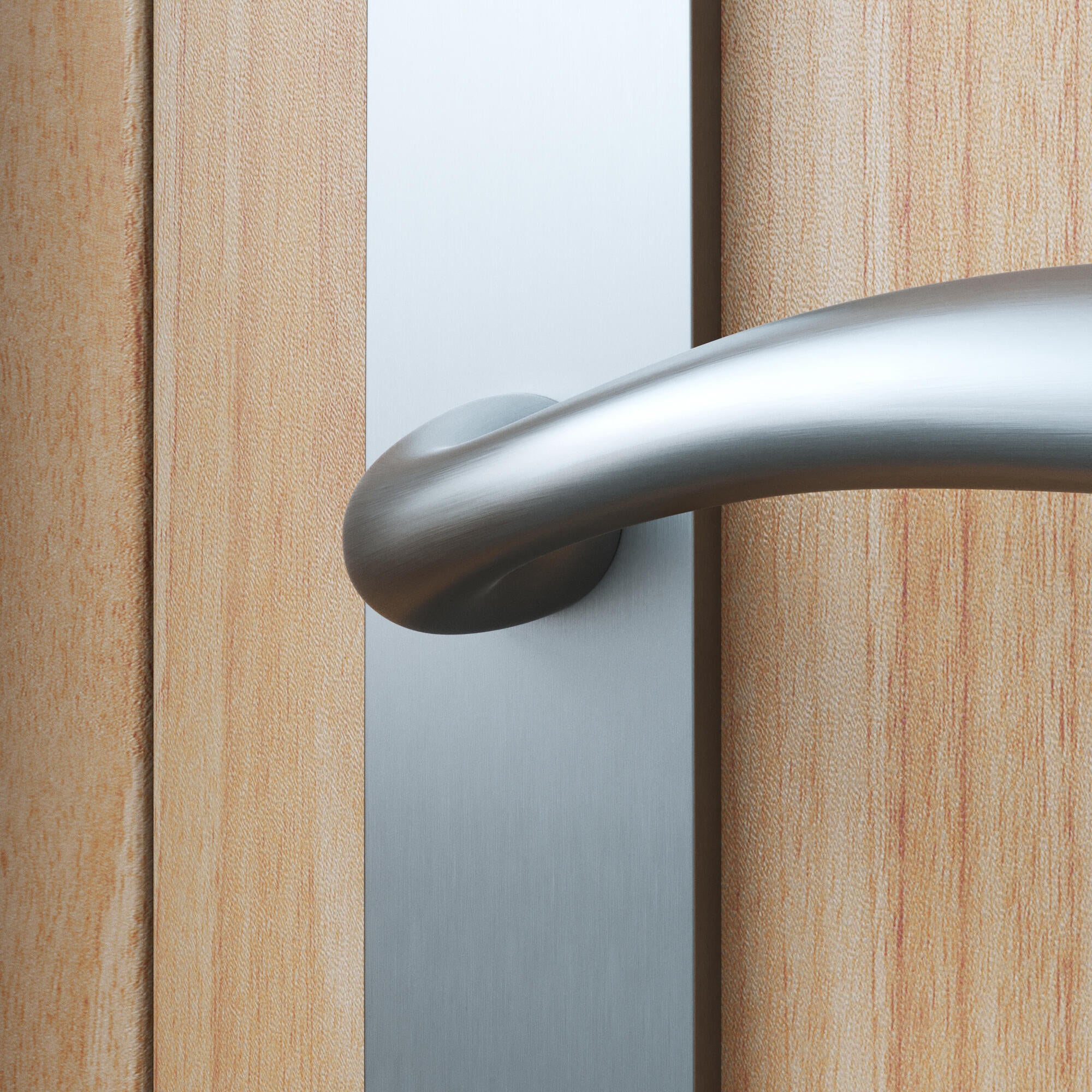 2 poignées porte entrée sur plaque cylindre Agathe zamak brillant, entraxe 195mm - 5