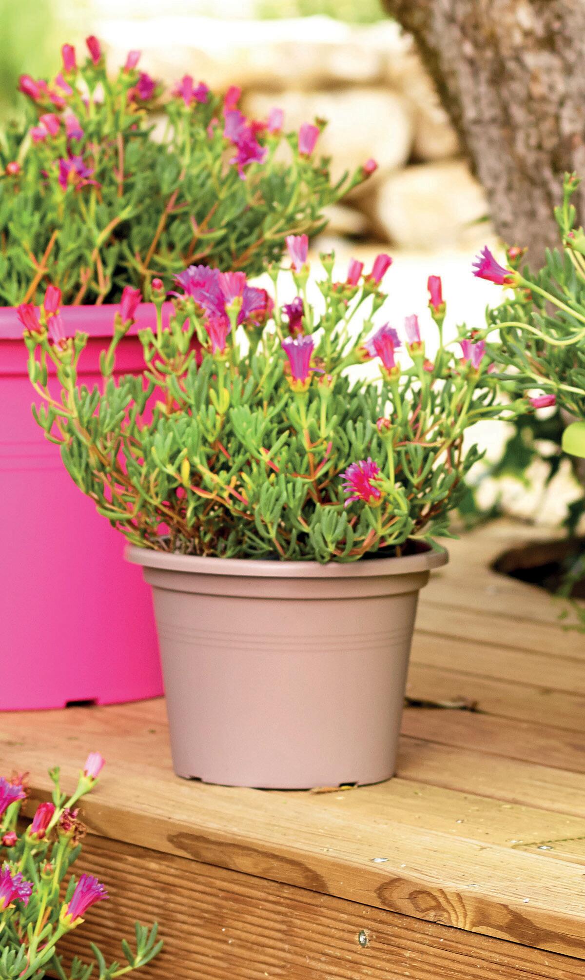 Vaso Venezia ARTEVASI in polipropilene tortora H 36 x ø 50 cm - 2