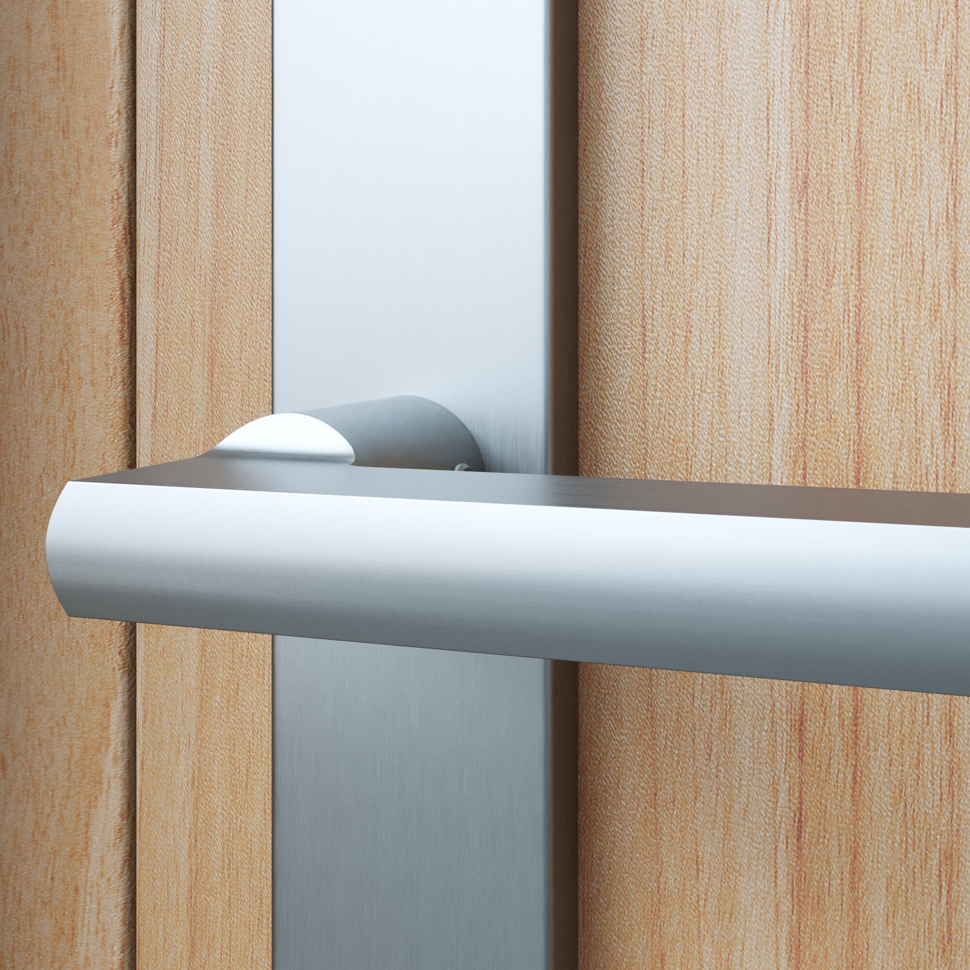 2 poignées porte d'entrée sur plaque à cylindre Lee alu nickel, entraxe 195mm - 3