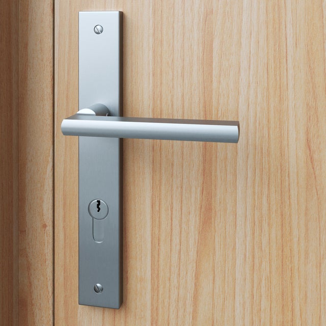 Poignée de porte sur plaque aspect nickel entraxe 195 mm Clé en I DAREN x2