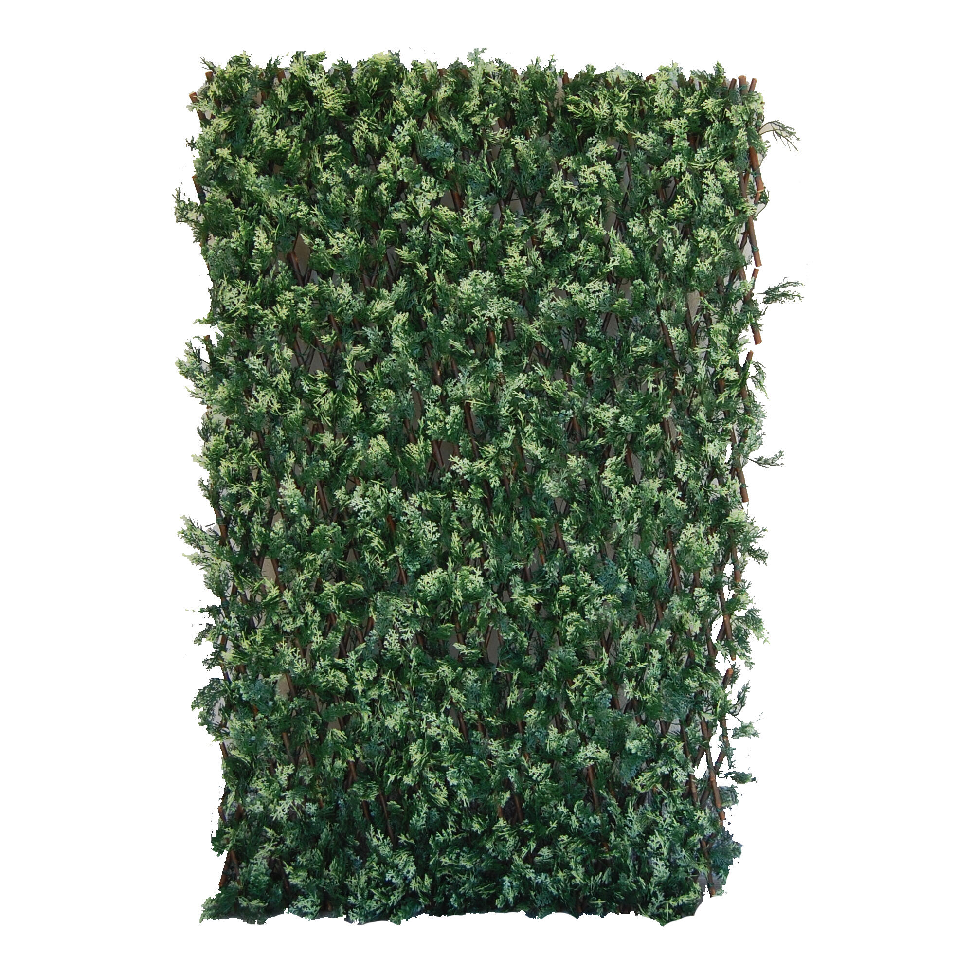 Panneau évacuation PMR Gauche - PVC - L.200 x H.100 mm