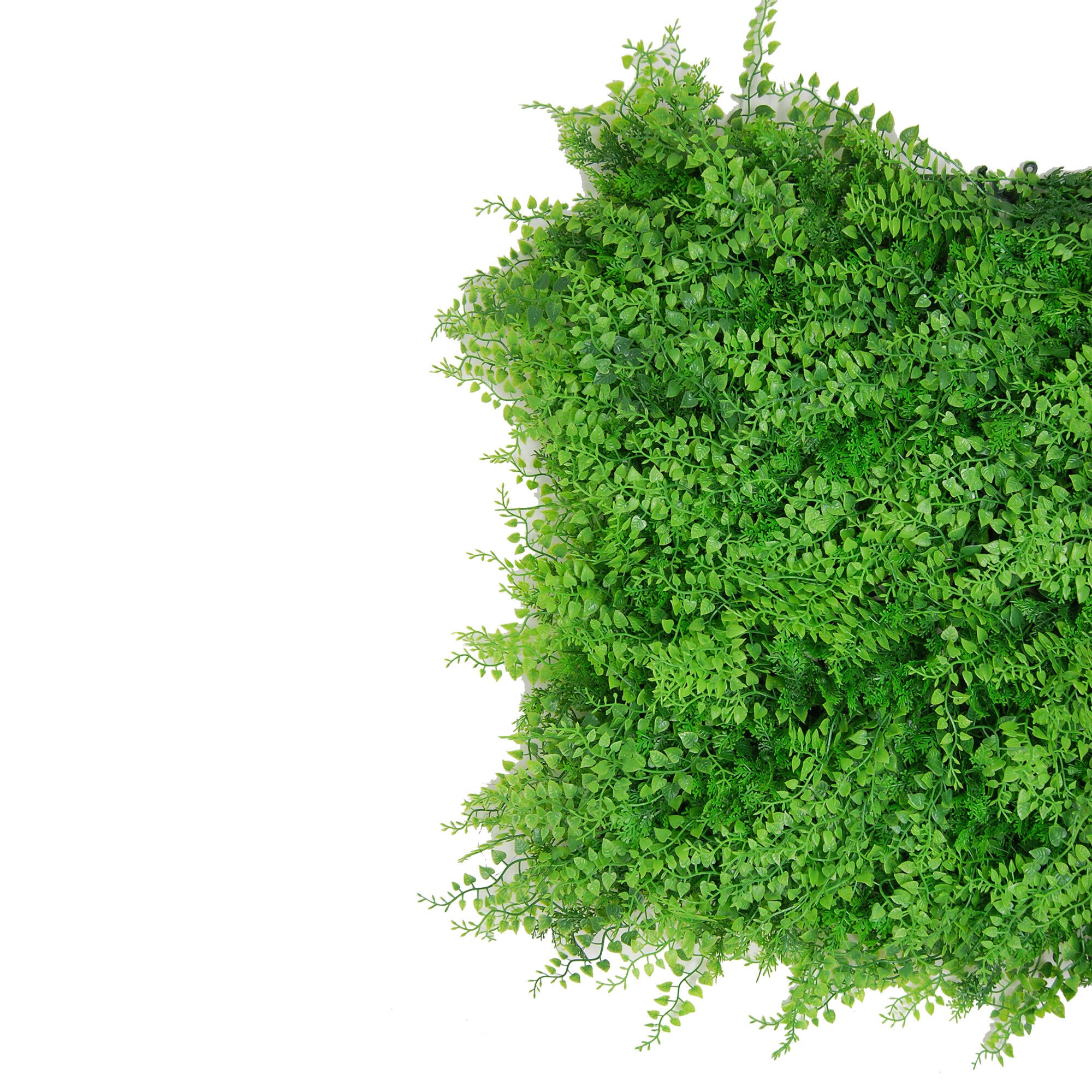 Giardino verticale parete Felce Divy 3D in polietilene alta densità, verde H 1 m x L 1 m - 4