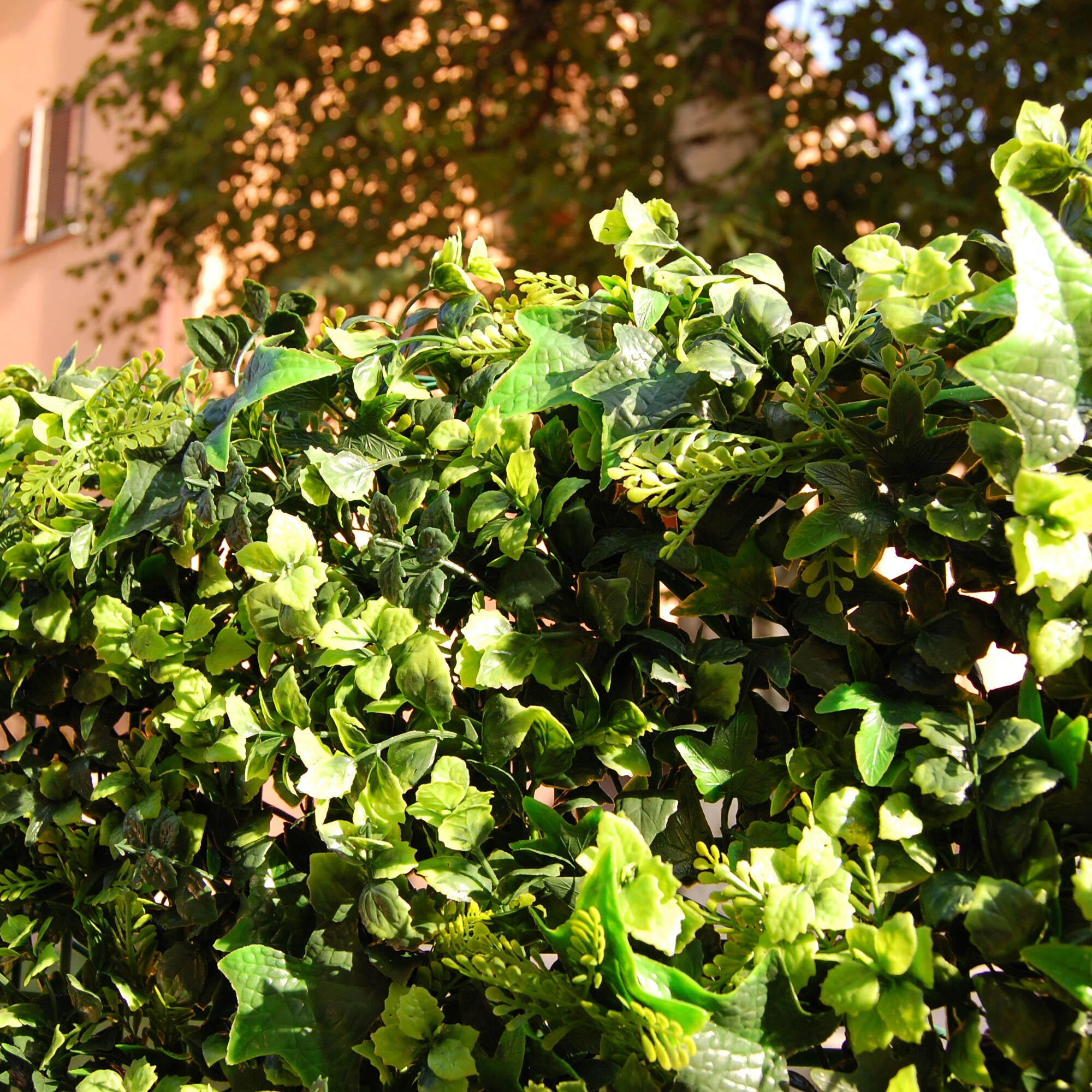 Jardín vertical saltus 50x50 cm - 5