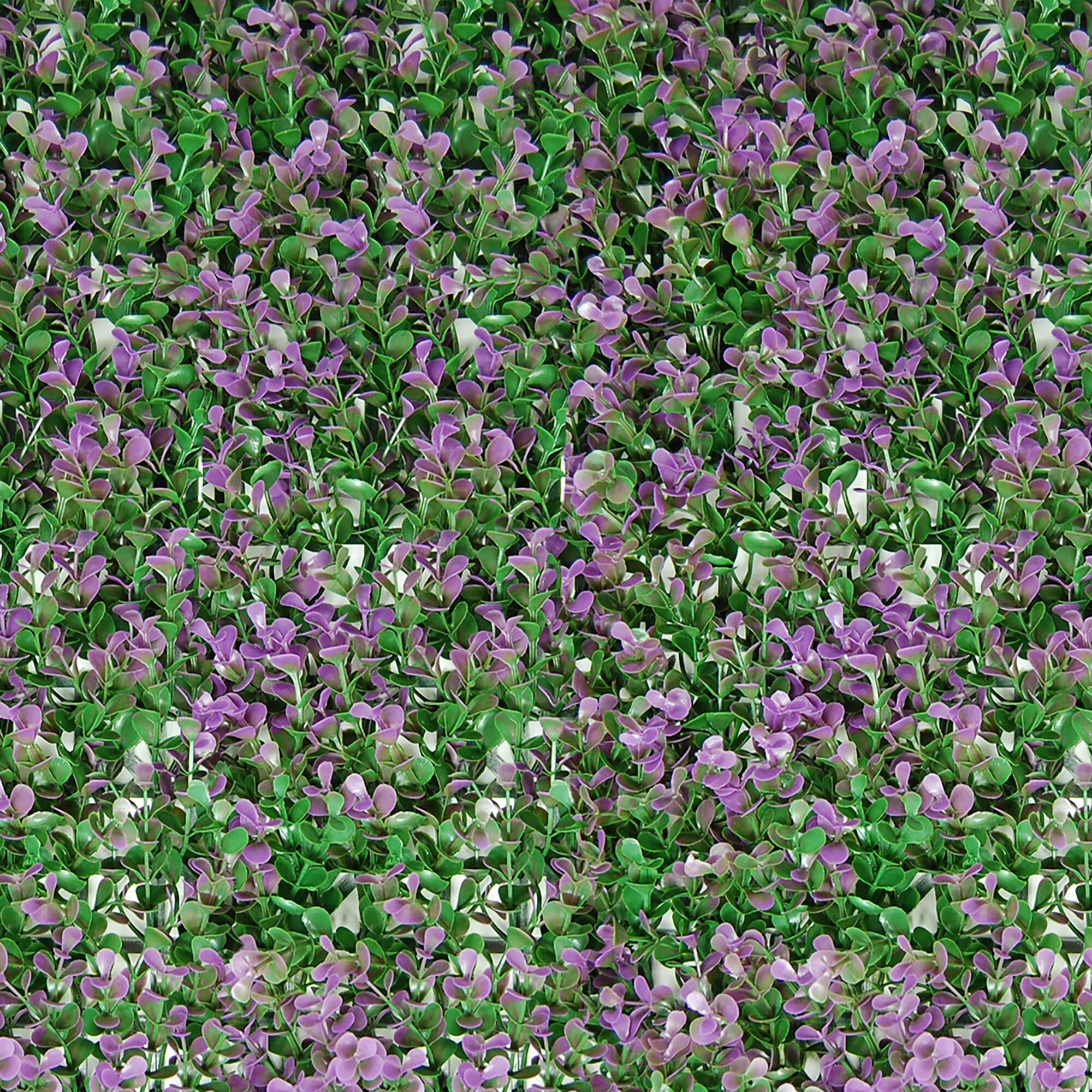 Jardín vertical Buxus lilac 50x50cm - 5