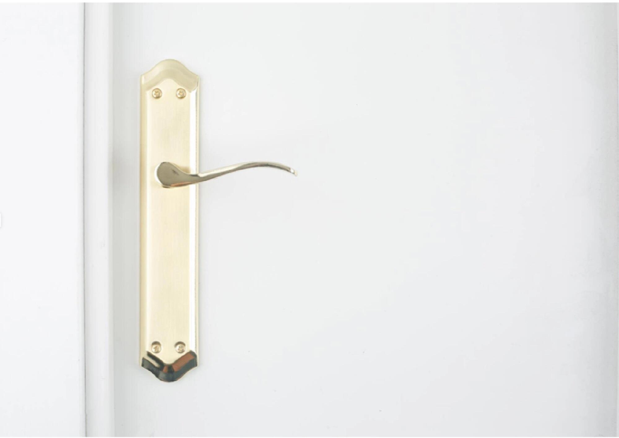 Manilla para puerta serie CACERES 2 en aluminio color dorado brillo 255x45mm - 4