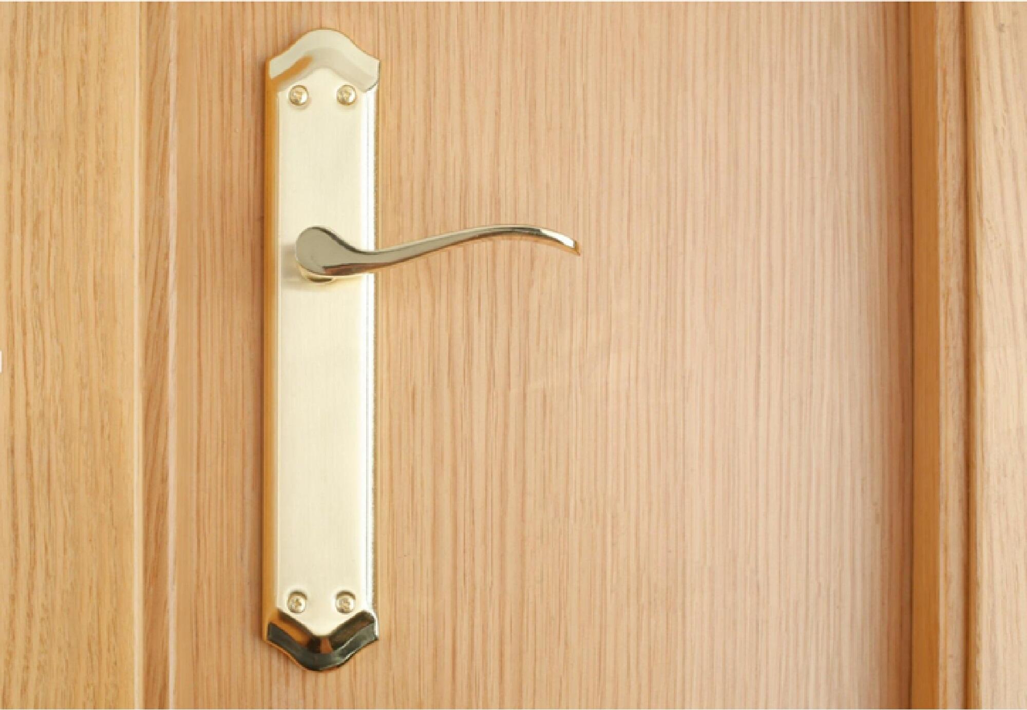 Manilla para puerta serie CACERES 2 en aluminio color dorado brillo 255x45mm - 3