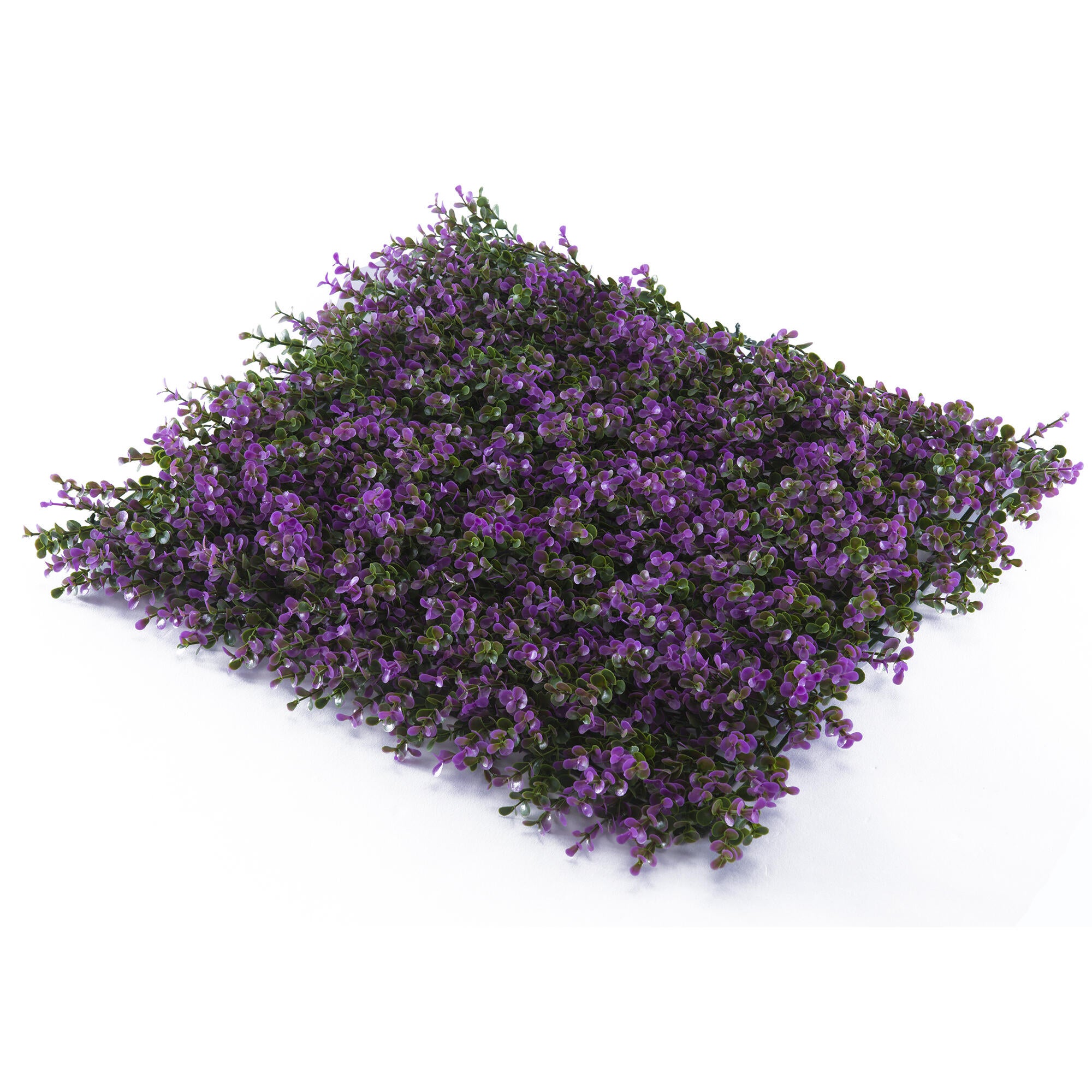 Jardín vertical Buxus lilac 50x50cm - 2