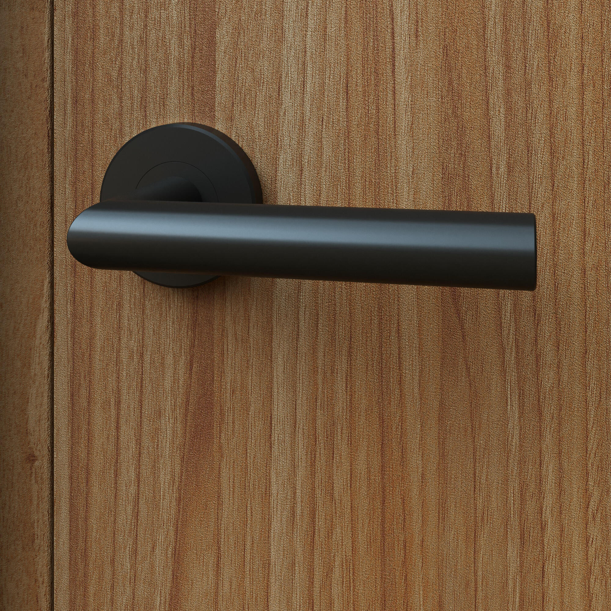 Poignée de porte sur rosace noir THEA x2 - 6