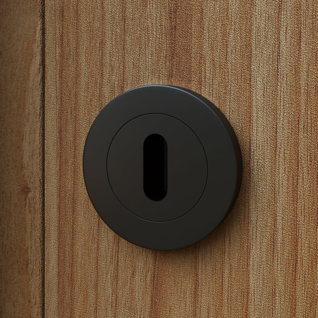 2 rosaces INSPIRE trou de clé L2 zamak noir mat A8