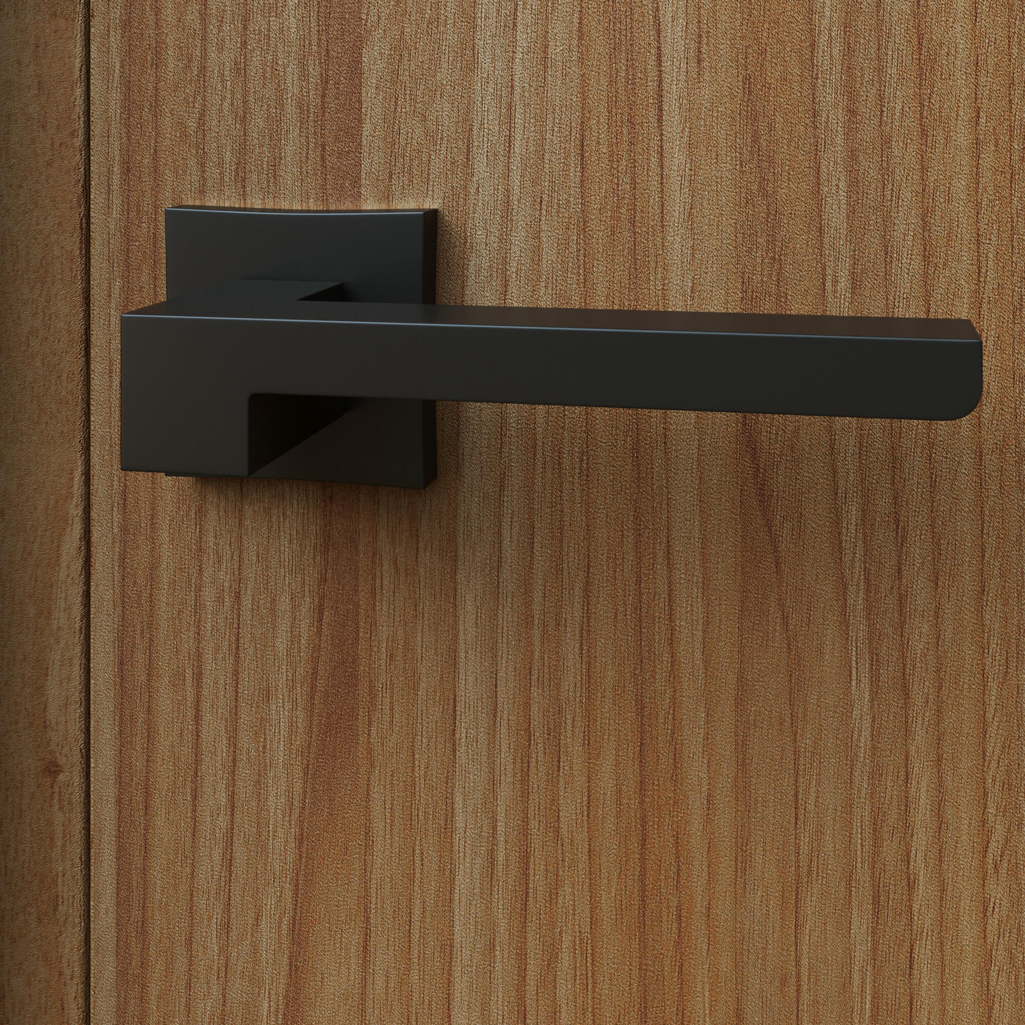 2 poignées sur rosace carrées INSPIRE Manuela noir mat A7 - 2