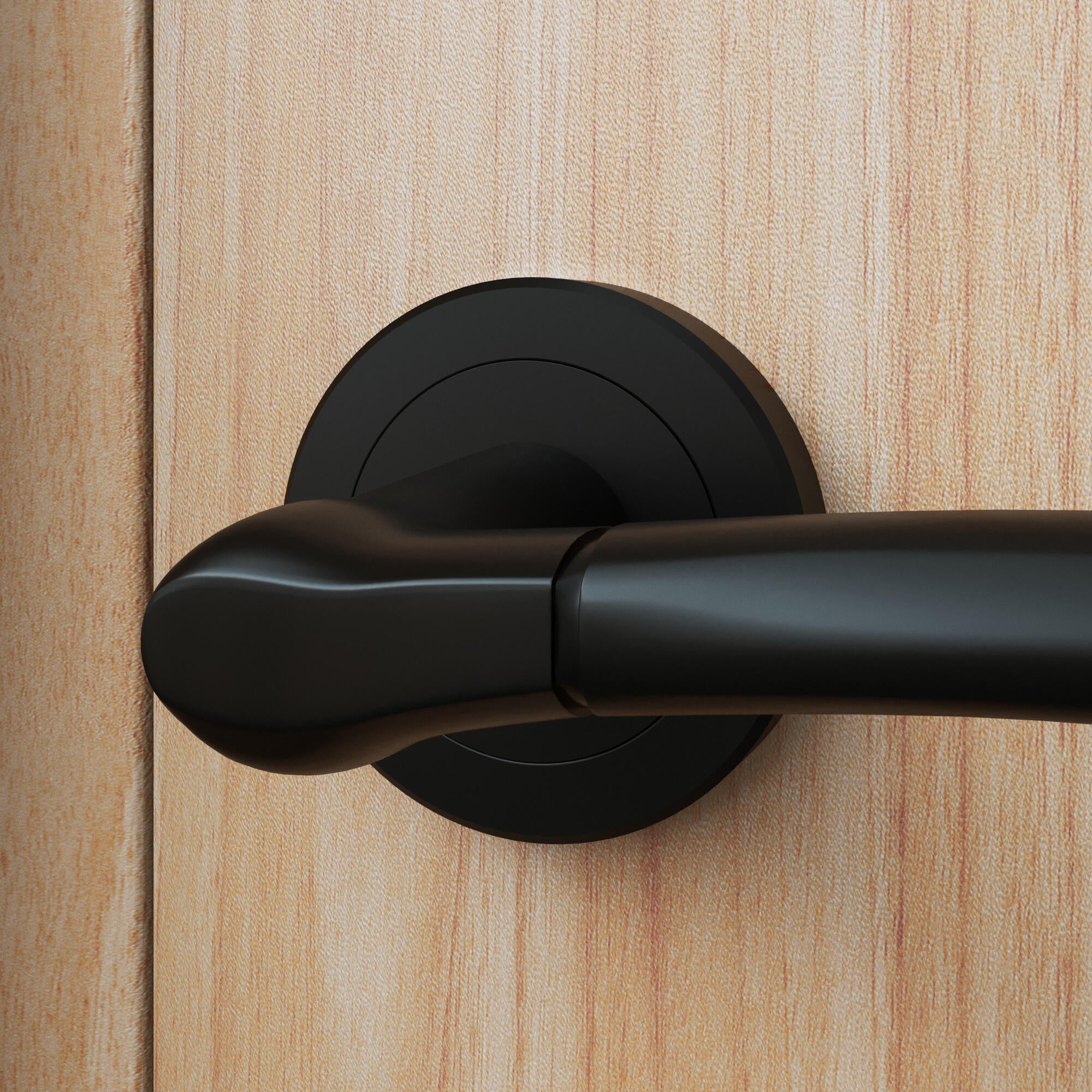 2 poignées sur rosace INSPIRE Eina noir mat A1 - 4