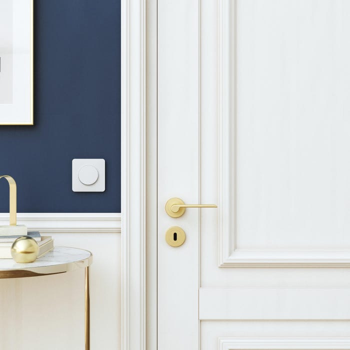 Poignée de porte sur rosace BIRDIE en lation brossé 