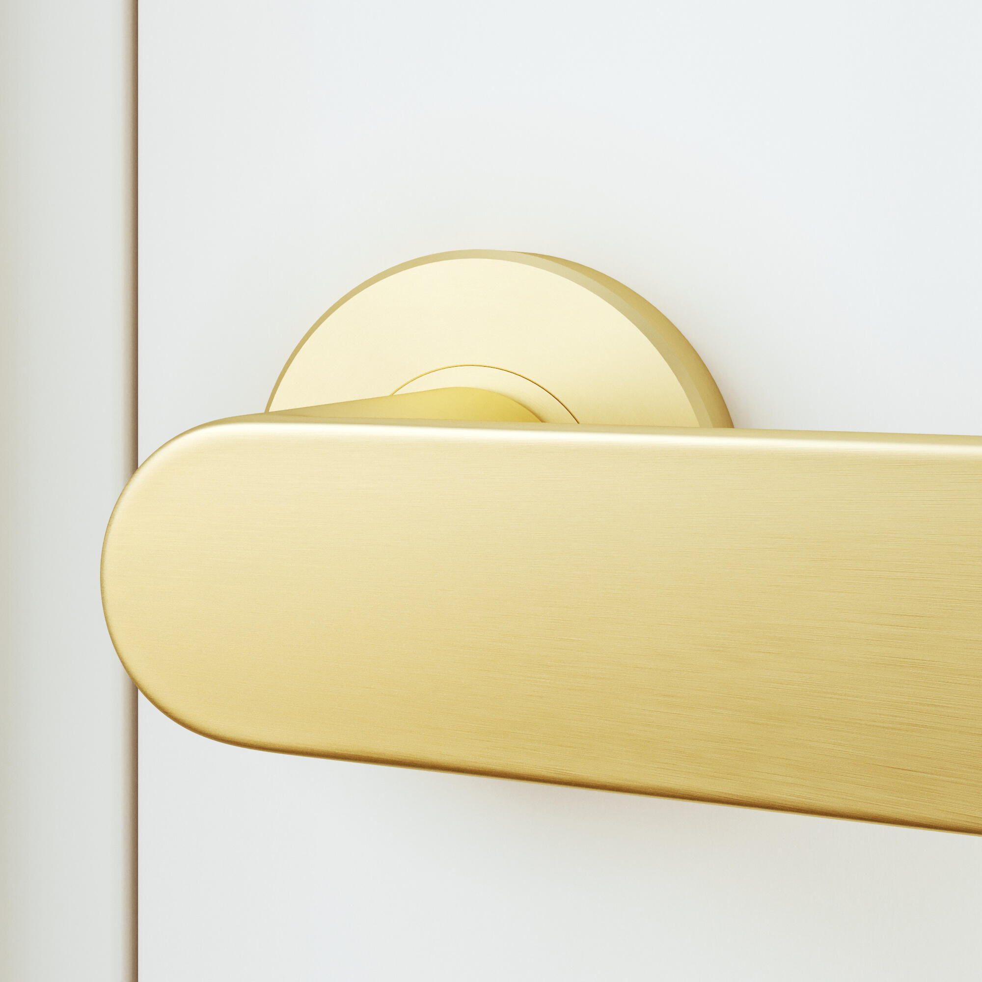 2 poignées sur rosace INSPIRE Java aluminium sans trou laiton brossé A3 - 9