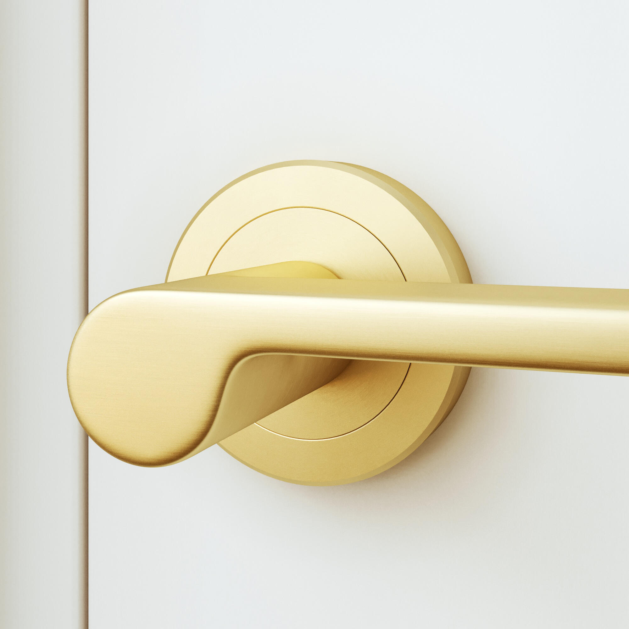 Poignée de porte sur rosace Birdie en laiton brossé - 2