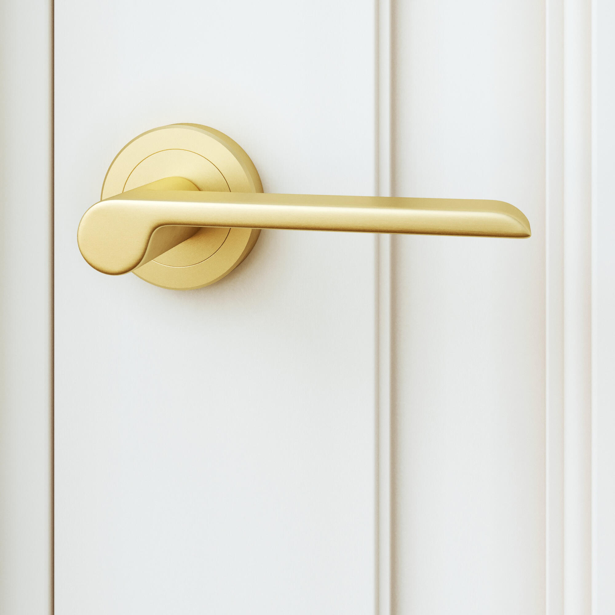 Puxador de porta roseta alumínio dourado escovado mate Inspire Birdie - 13