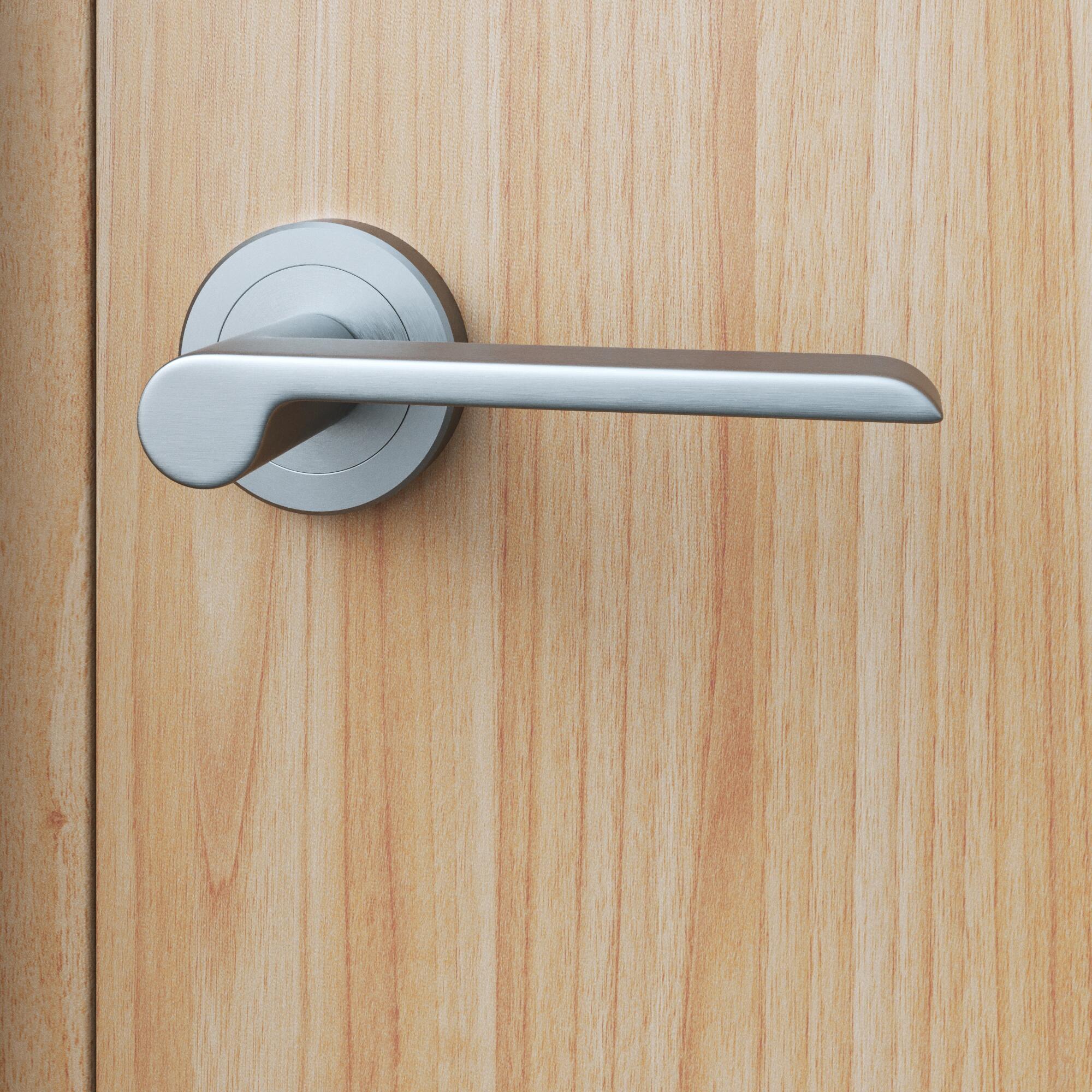 poignée de porte sur rosace birdie en finition nickel - 2