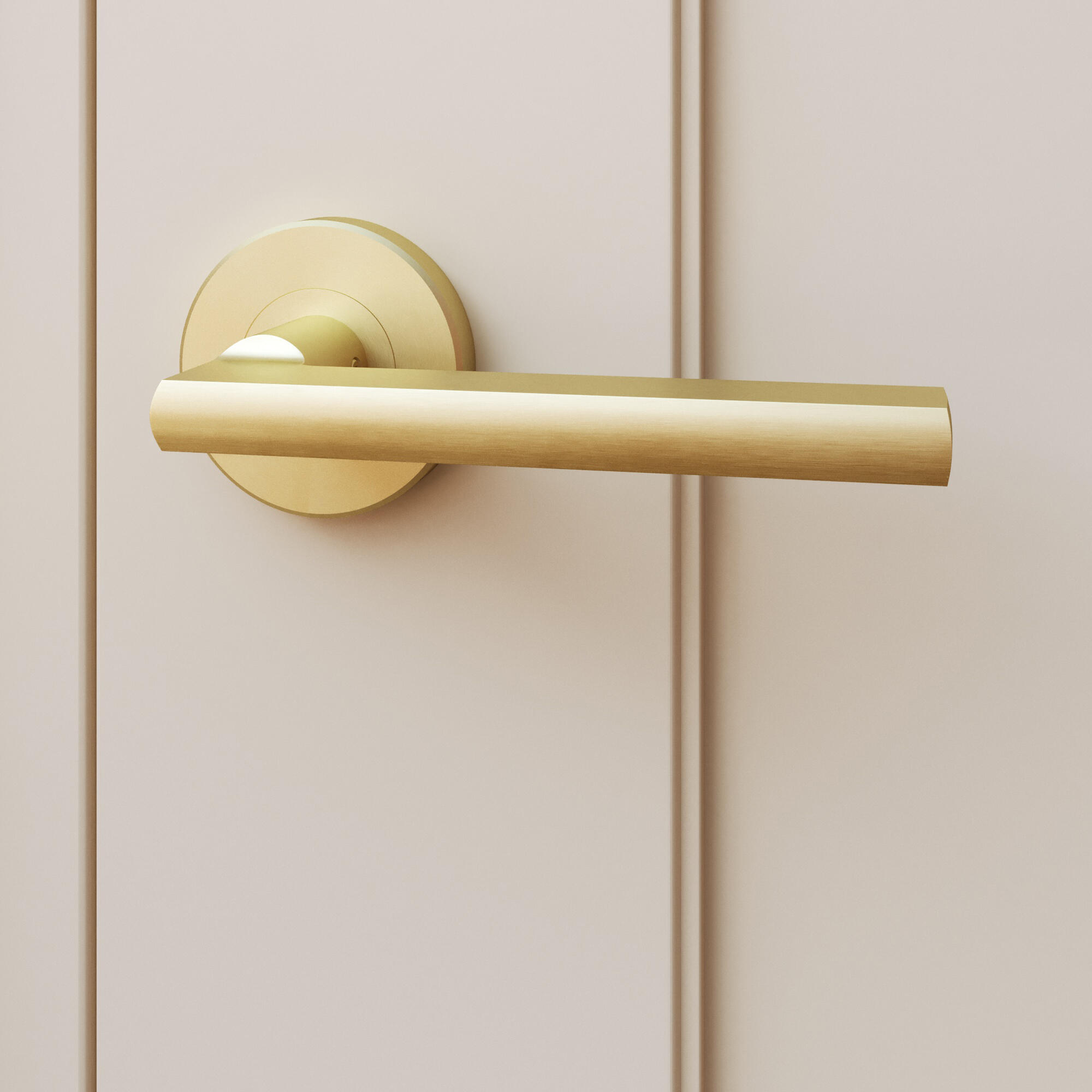 2 poignées sur rosace INSPIRE Lee aluminium laiton brossé A3 - 9