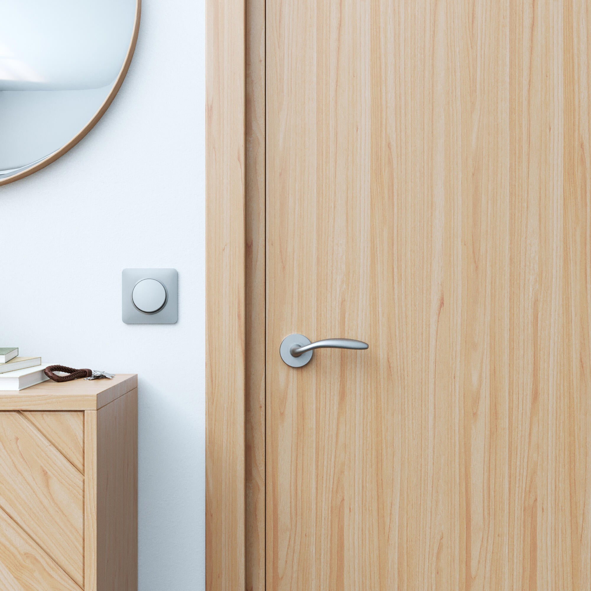 2 poignées sur rosace INSPIRE Agathe aluminium nickel brillant A2 - 5