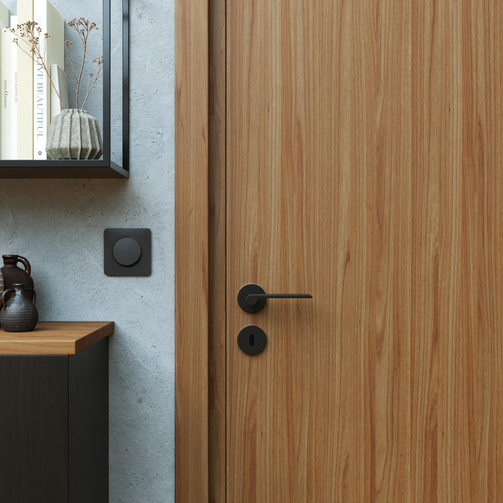 Poignée de porte sur rosace Birdie noir mat