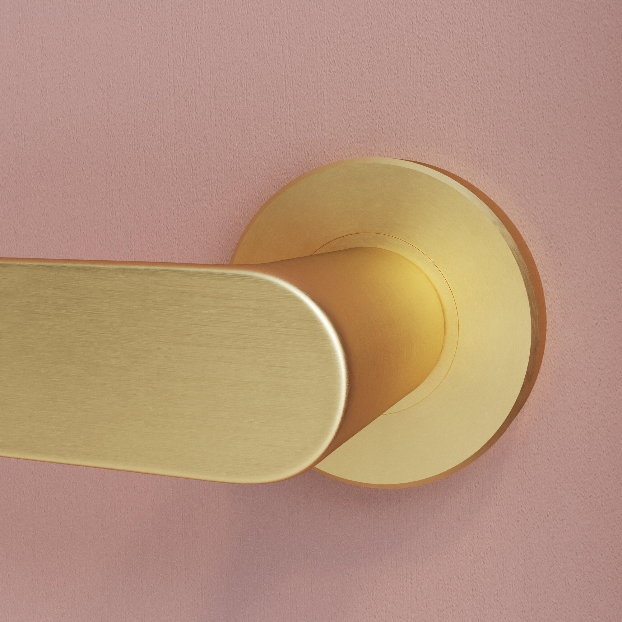 2 poignées sur rosace INSPIRE Java aluminium sans trou laiton brossé A3 - 3