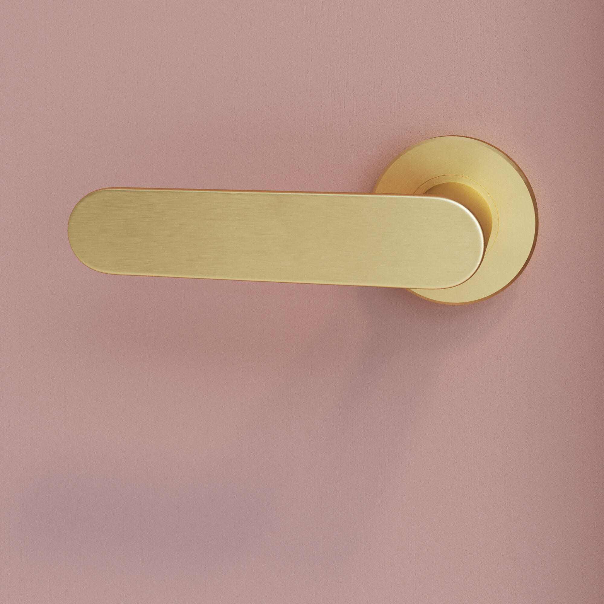 2 poignées sur rosace INSPIRE Java aluminium sans trou laiton brossé A3 - 4