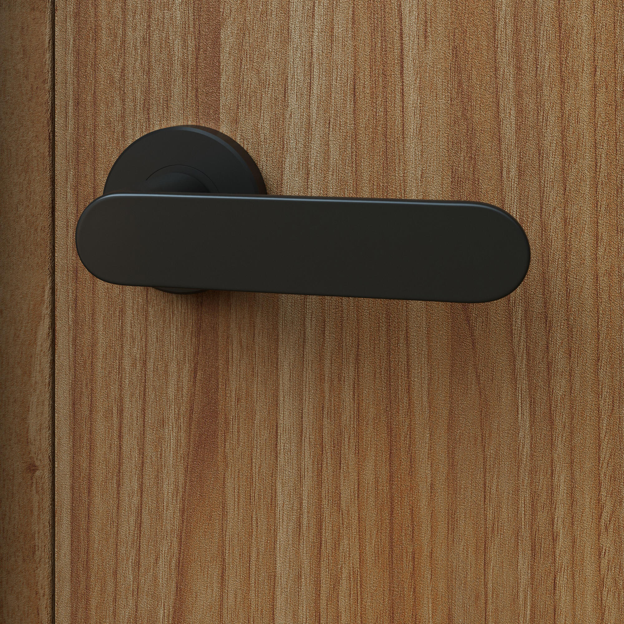 poignée de porte sur rosace JAVA noir mat - 1