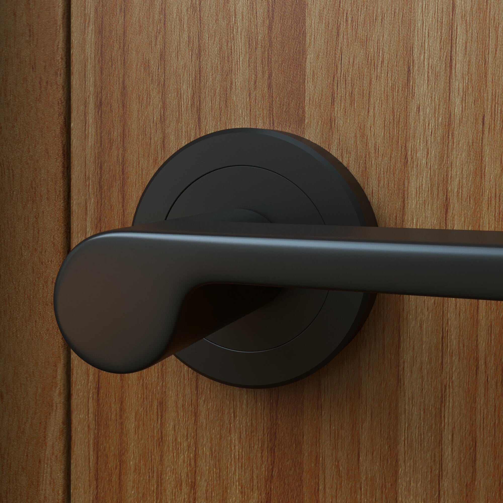 Zoom sur la poignée de porte sur rosace Birdie en noir mat - 2