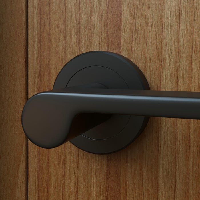 Zoom sur la poignée de porte sur rosace Birdie en noir mat