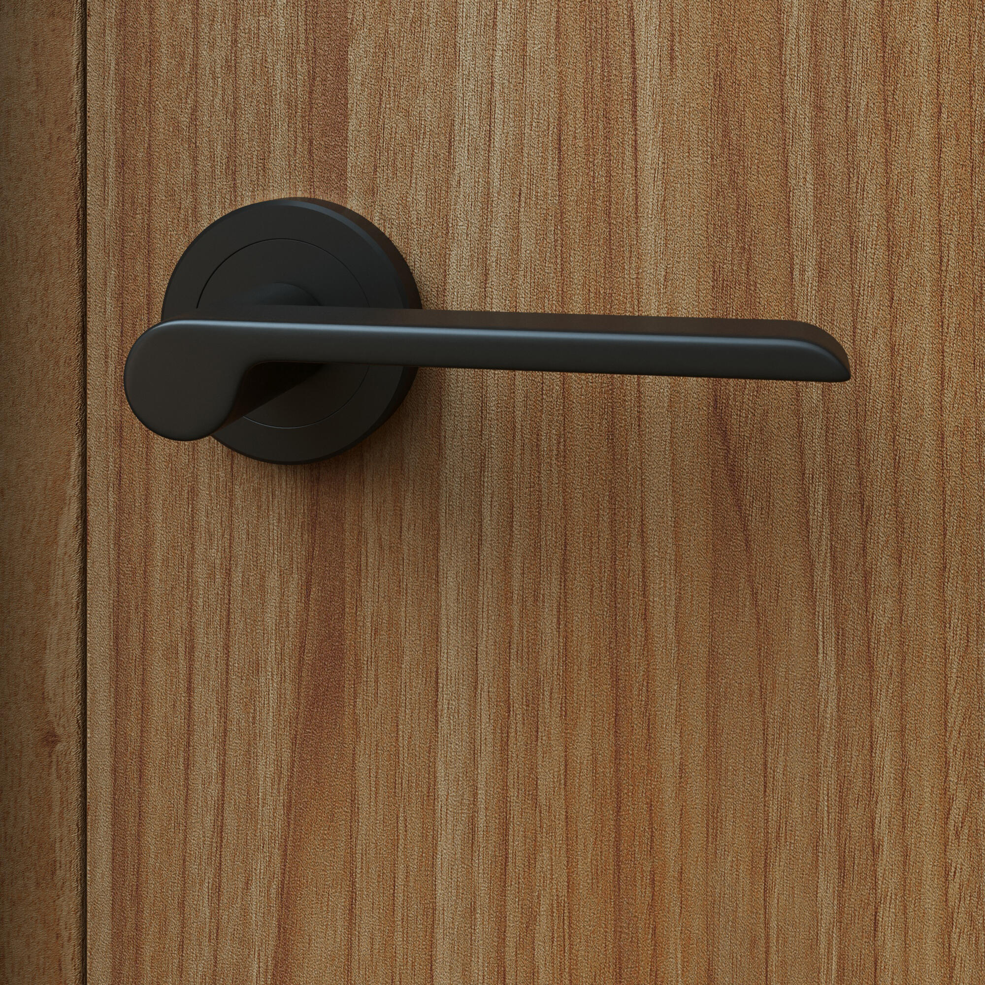 2 poignées sur rosace INSPIRE Birdie noir mat A1 - 4