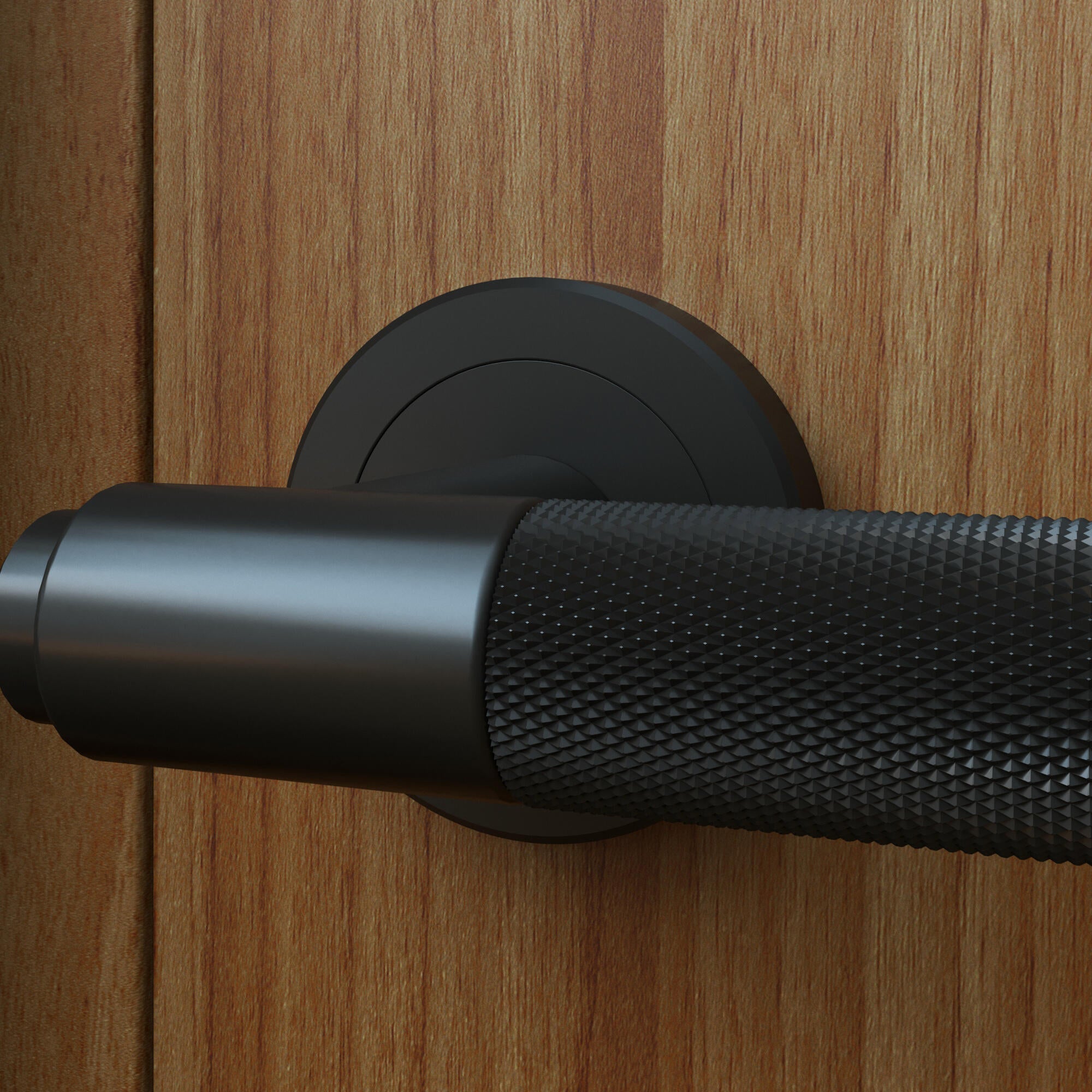 2 poignées sur rosace INSPIRE Axel sans trou aluminium noir mat A8 - 4