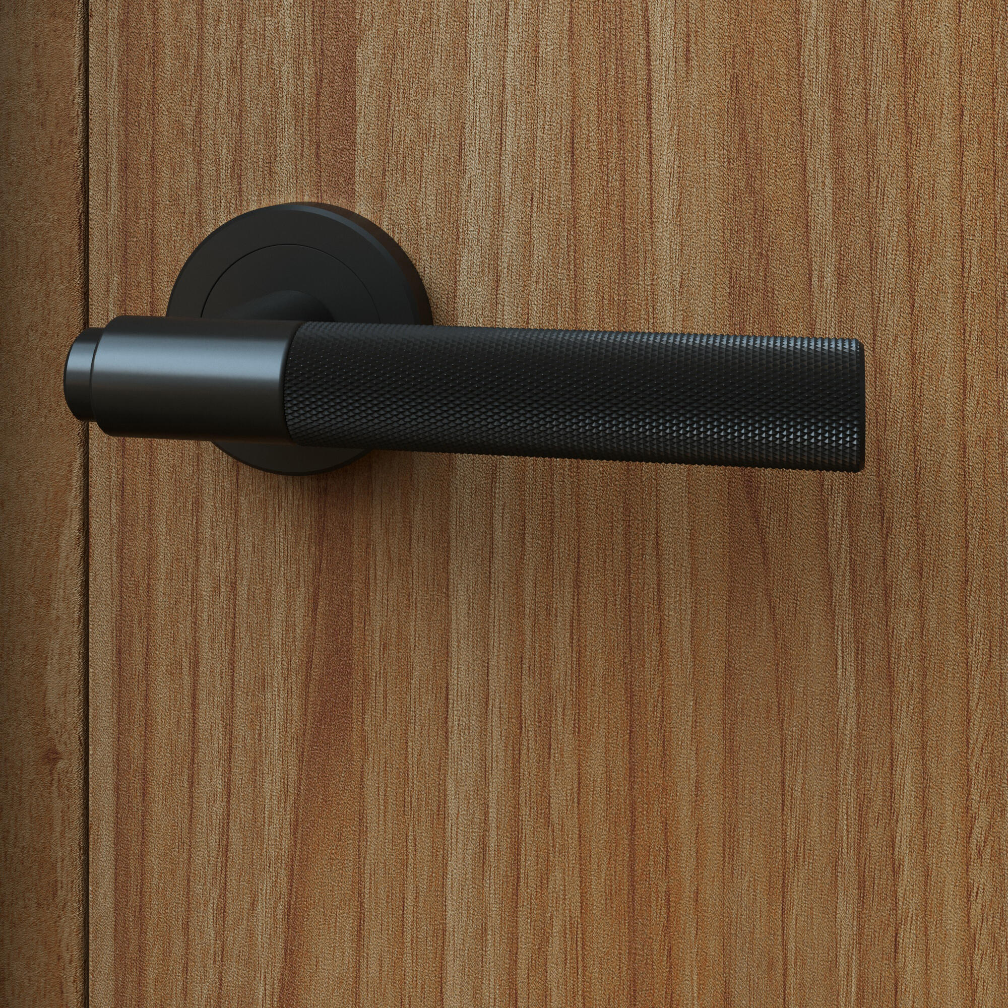 poigné de porte sur rosace AXEL noire - 2