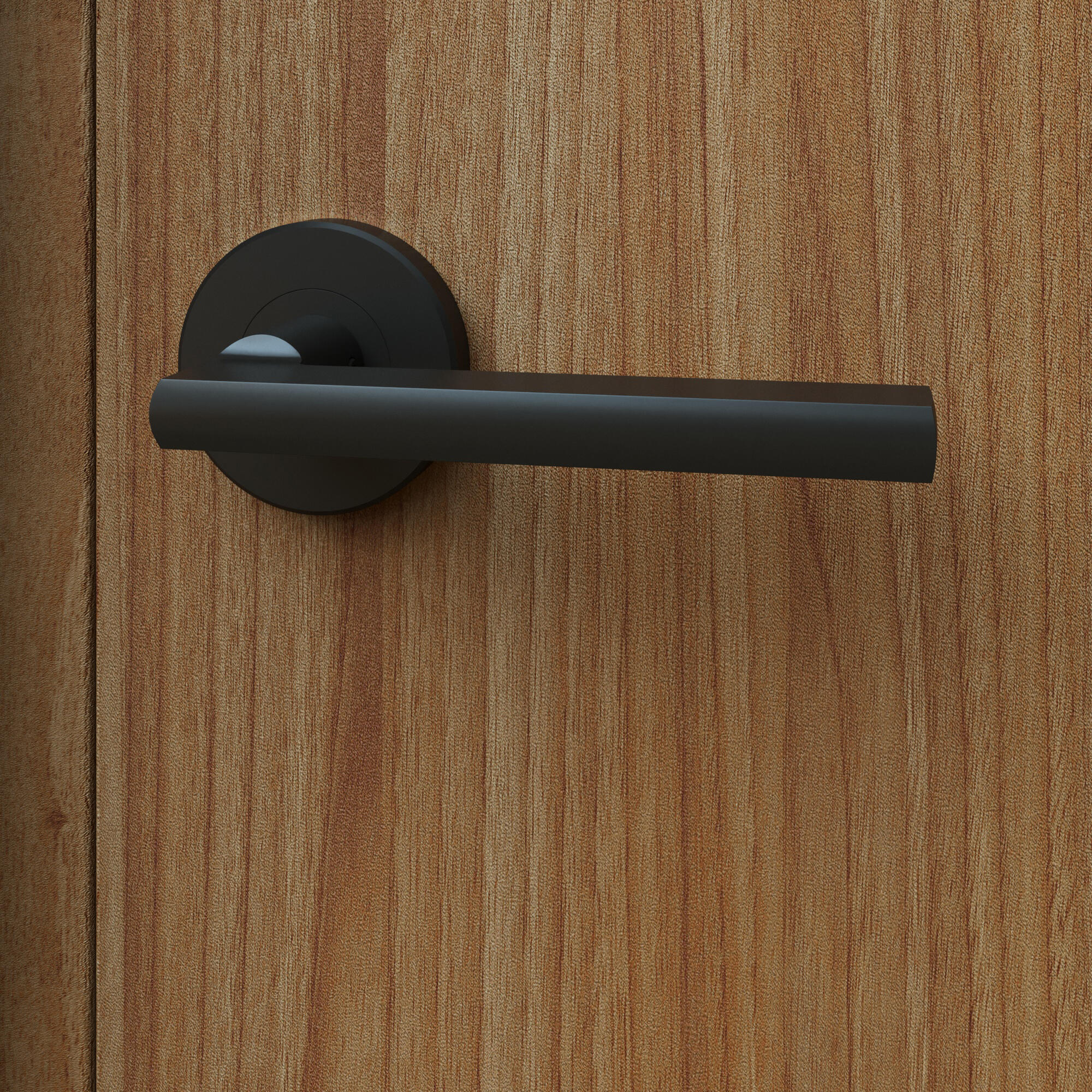 Poignée de porte sur rosace en noir mat LEE par INSPIRE - 2