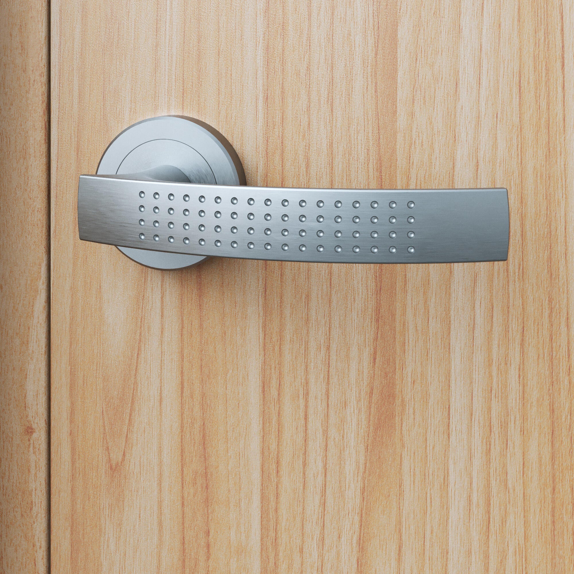 Poignée de porte sur rosace nickel ILDA x2 - 4