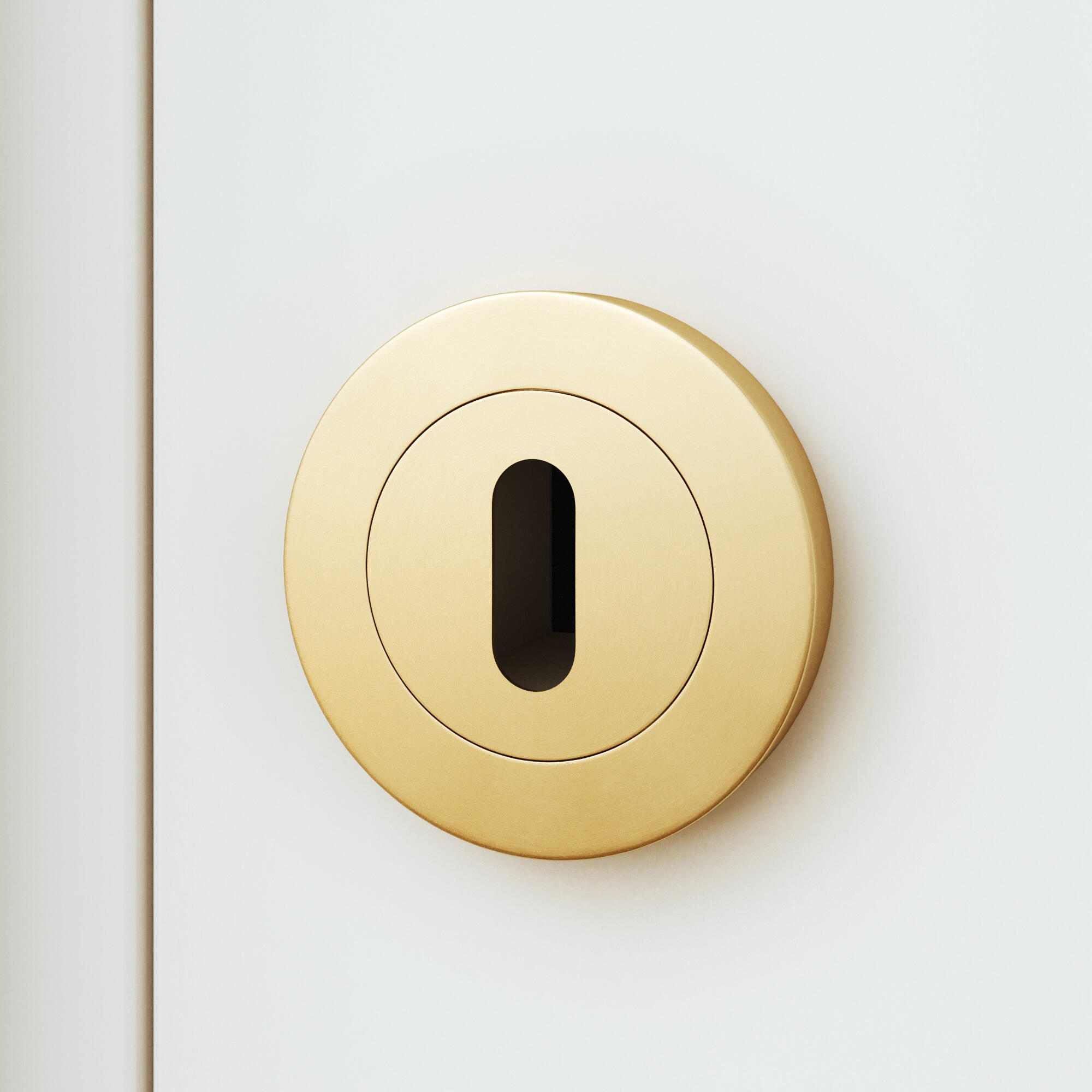 Puxador de porta roseta alumínio dourado escovado mate Inspire Birdie - 5