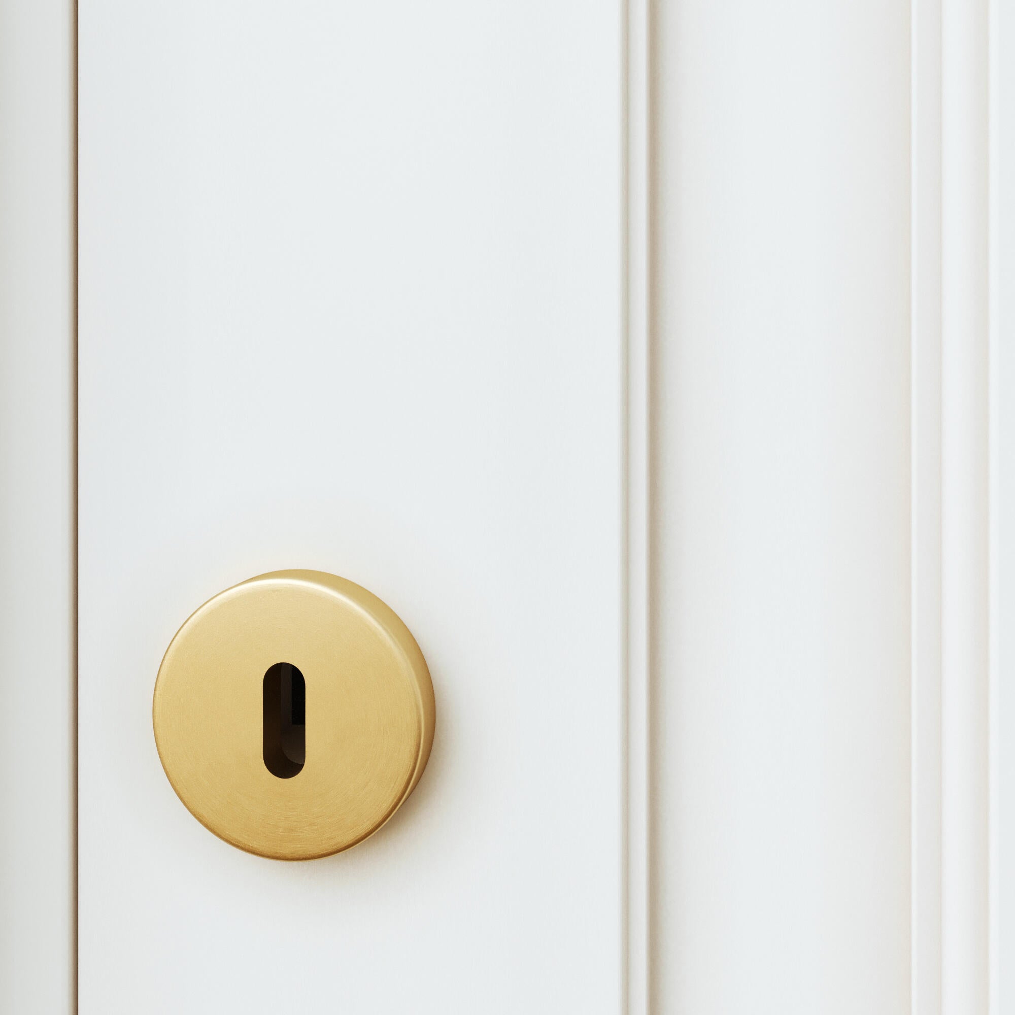 2 rosaces INSPIRE trou de clé L1 acier laiton brossé A3 - 3