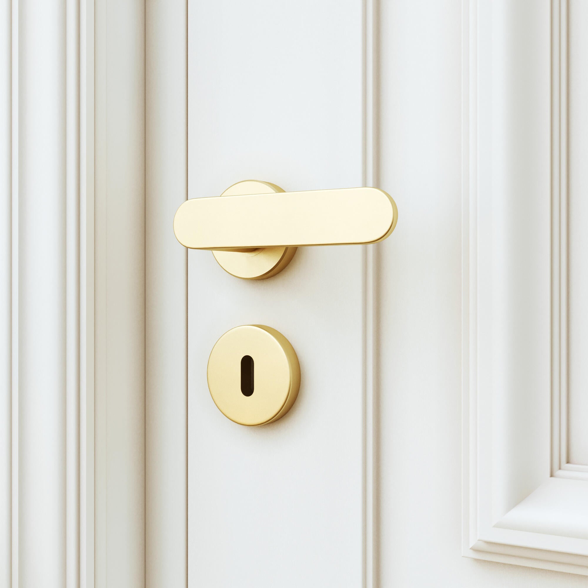 2 rosaces INSPIRE trou de clé L1 acier laiton brossé A3 - 4