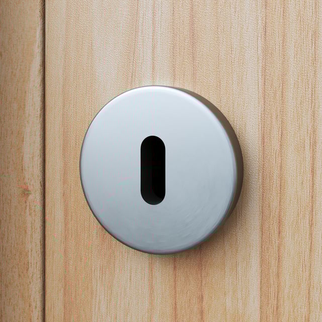 2 rosaces INSPIRE trou de clé L1 acier nickel satiné A2