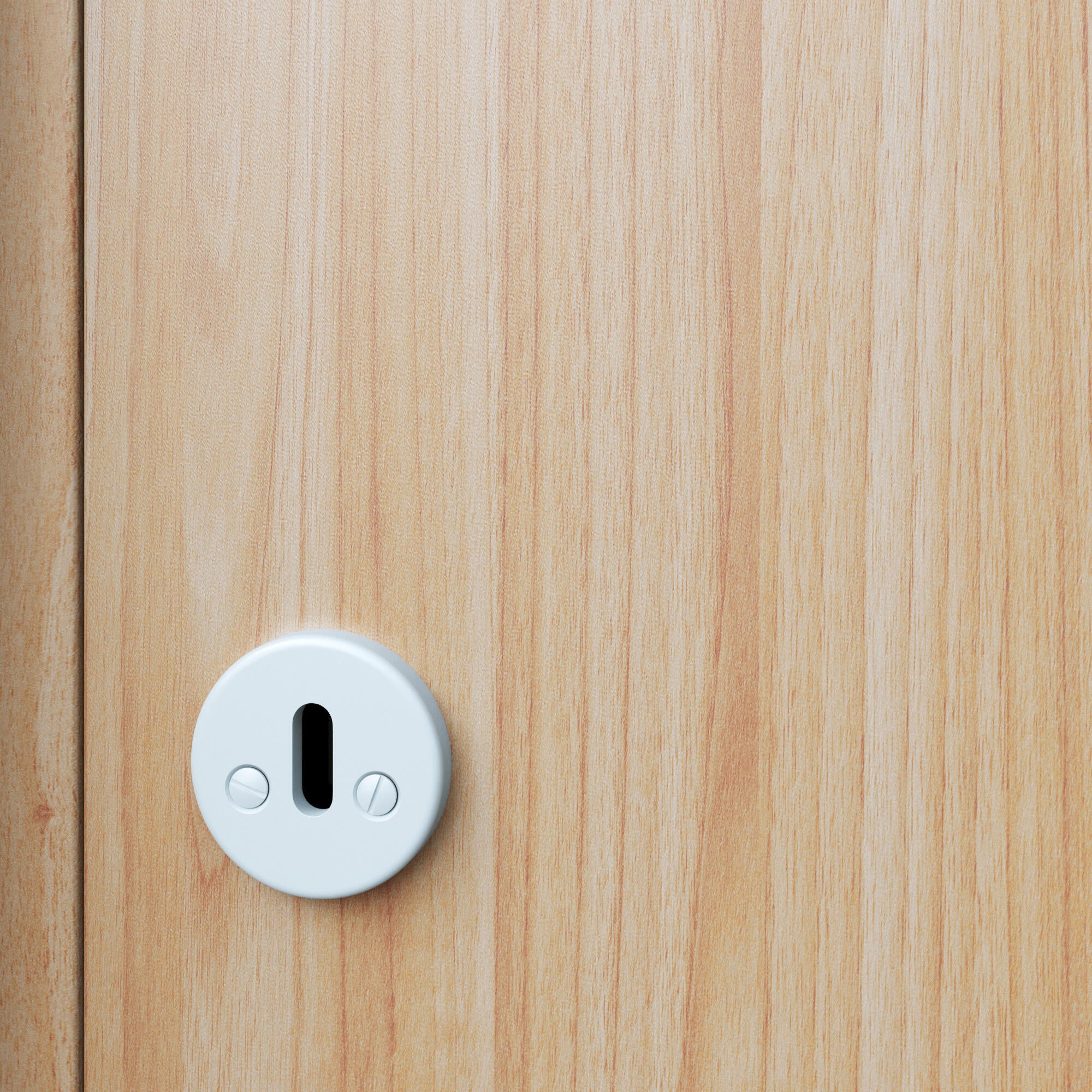 2 rosaces de fonction Lina acier blanc mat entrée de clé E3 - 5