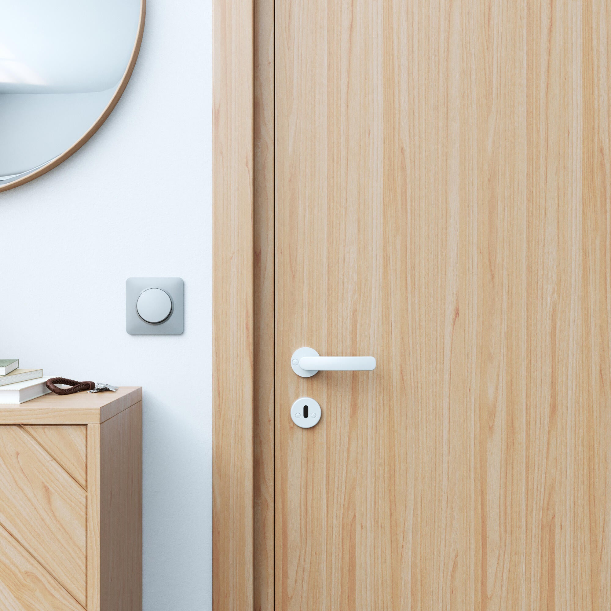 2 rosaces de fonction Lina acier blanc mat entrée de clé E3 - 6