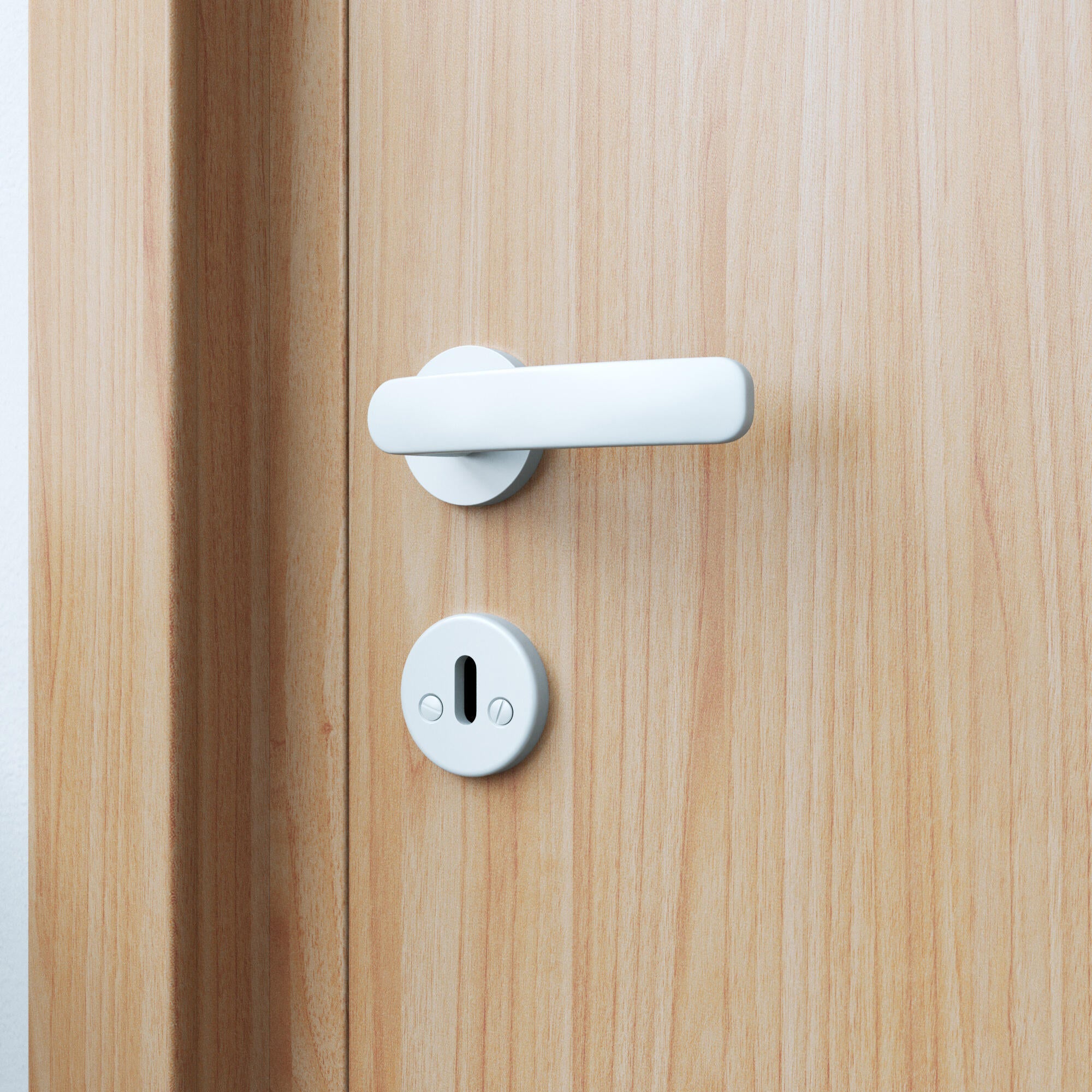 2 rosaces de fonction Lina acier blanc mat entrée de clé E3 - 4