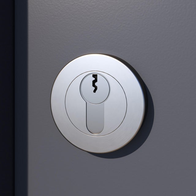 2 rosaces INSPIRE trou de cylindre L2 zamak nickel satiné A6