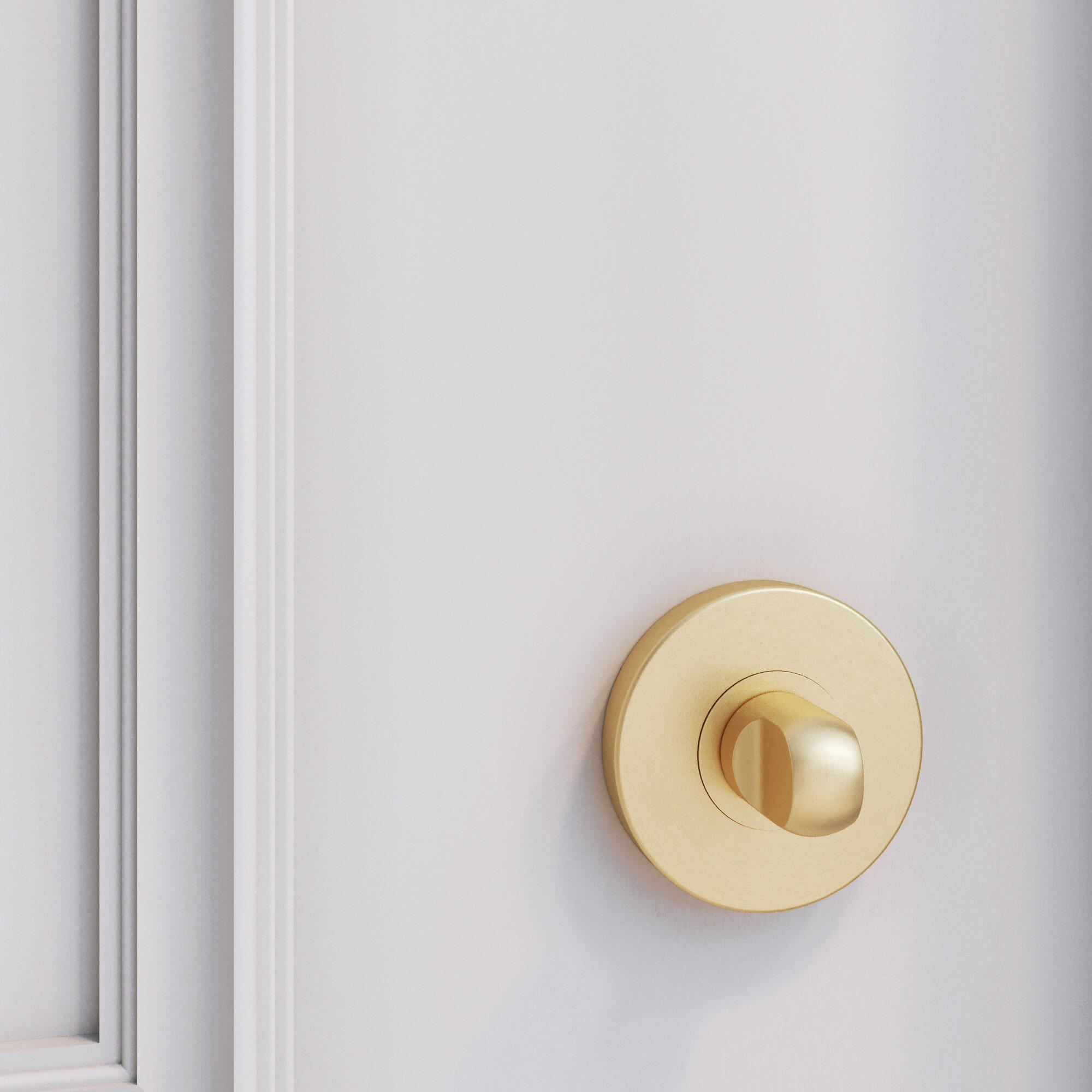 2 rosaces INSPIRE condamnation/décondamnation L1 acier laiton brossé A3 - 3