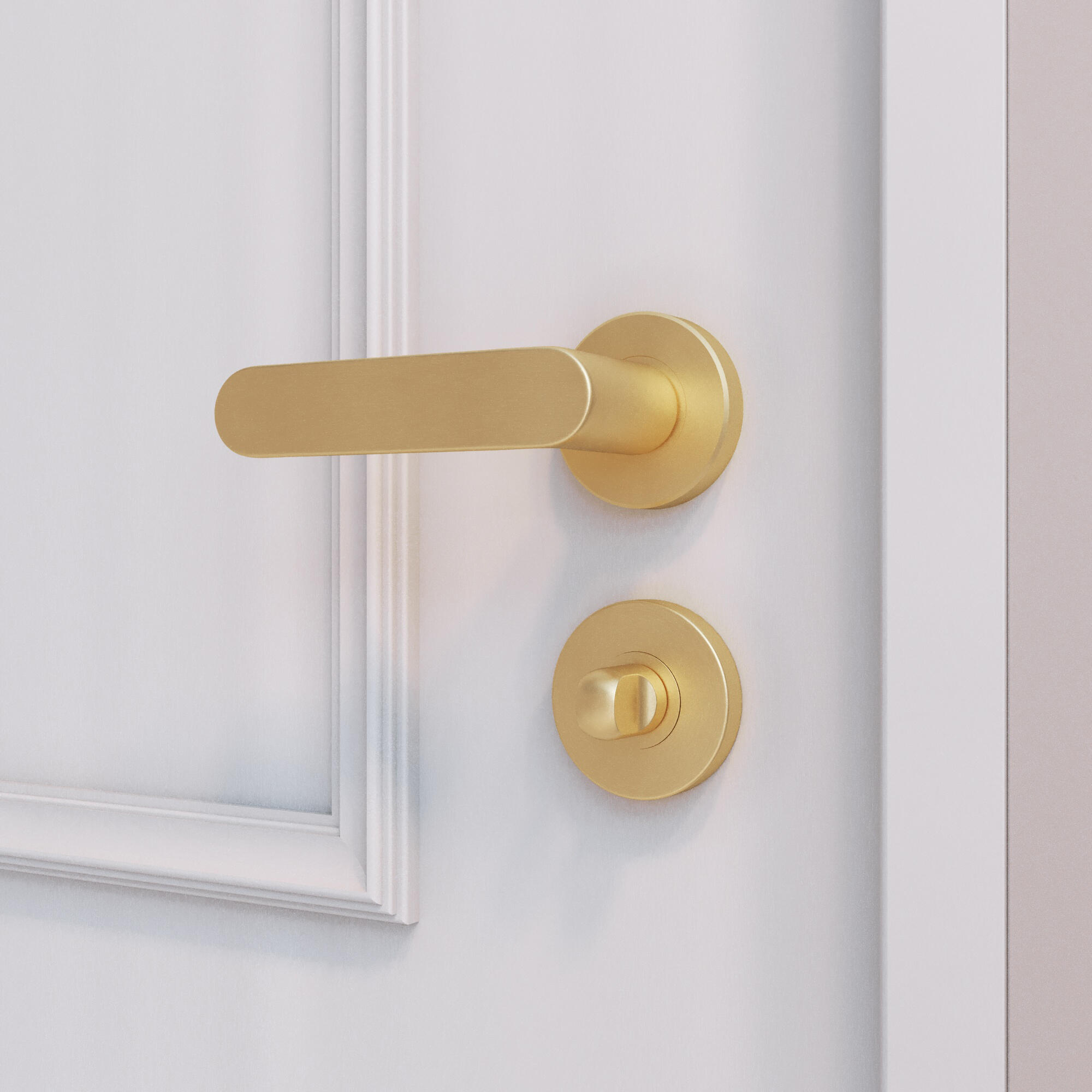 2 rosaces INSPIRE condamnation/décondamnation L1 acier laiton brossé A3 - 4