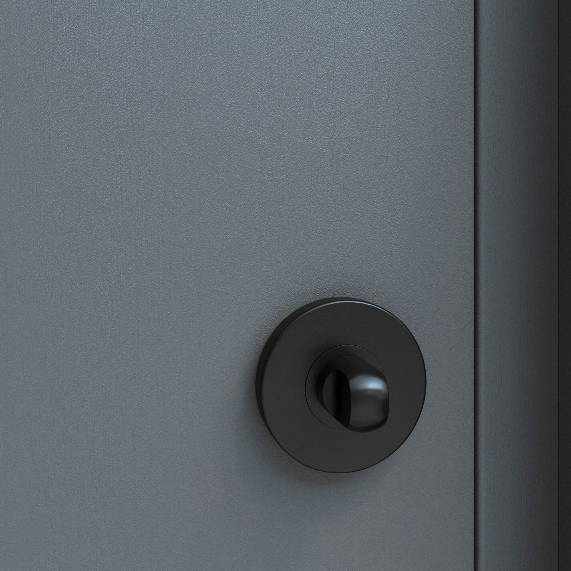 2 rosaces INSPIRE condamnation/décondamnation L1 acier noir mat A1 - 3