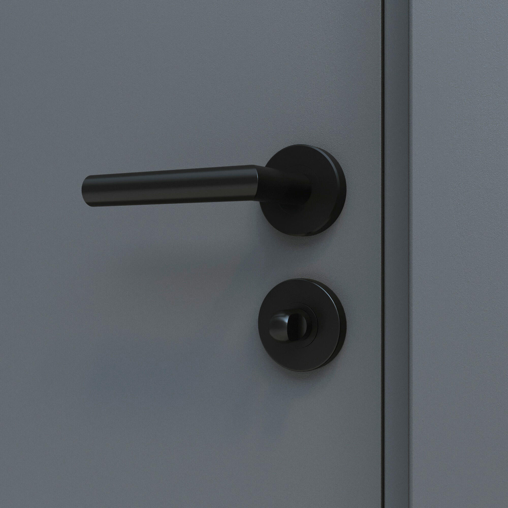 2 rosaces INSPIRE condamnation/décondamnation L1 acier noir mat A1 - 4