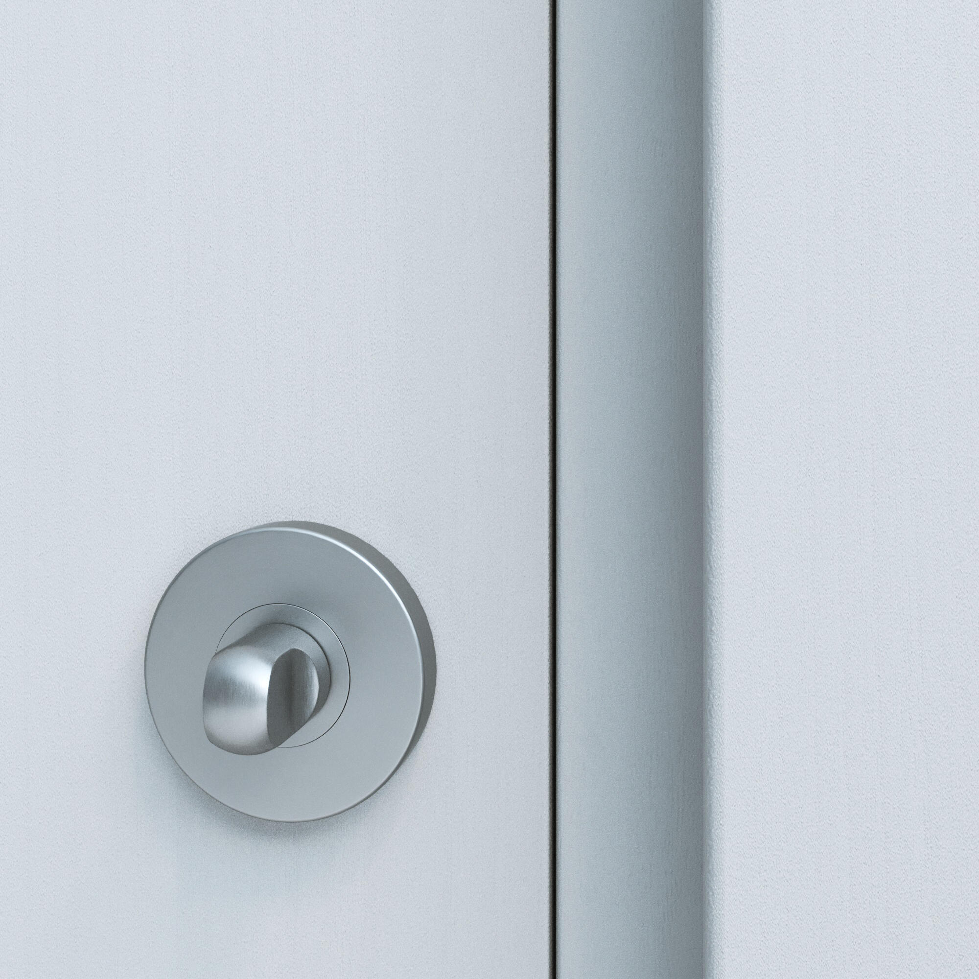 2 rosaces INSPIRE condamnation/décondamnation L1 acier nickel satiné A2 - 4